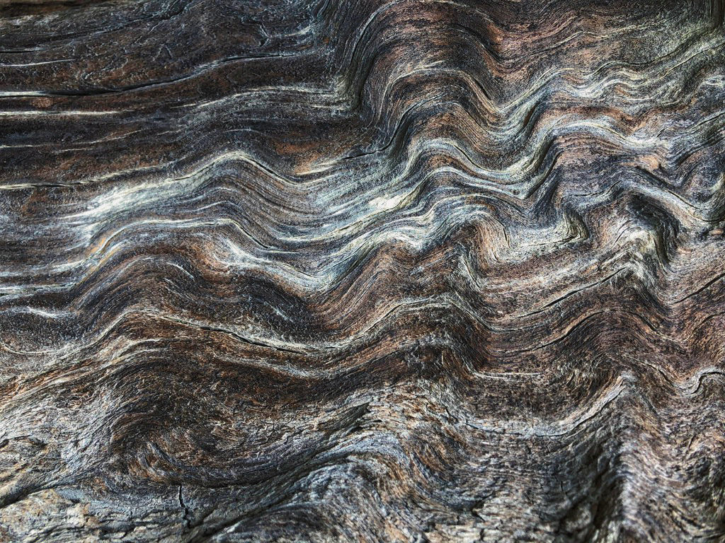 Wood Clouds