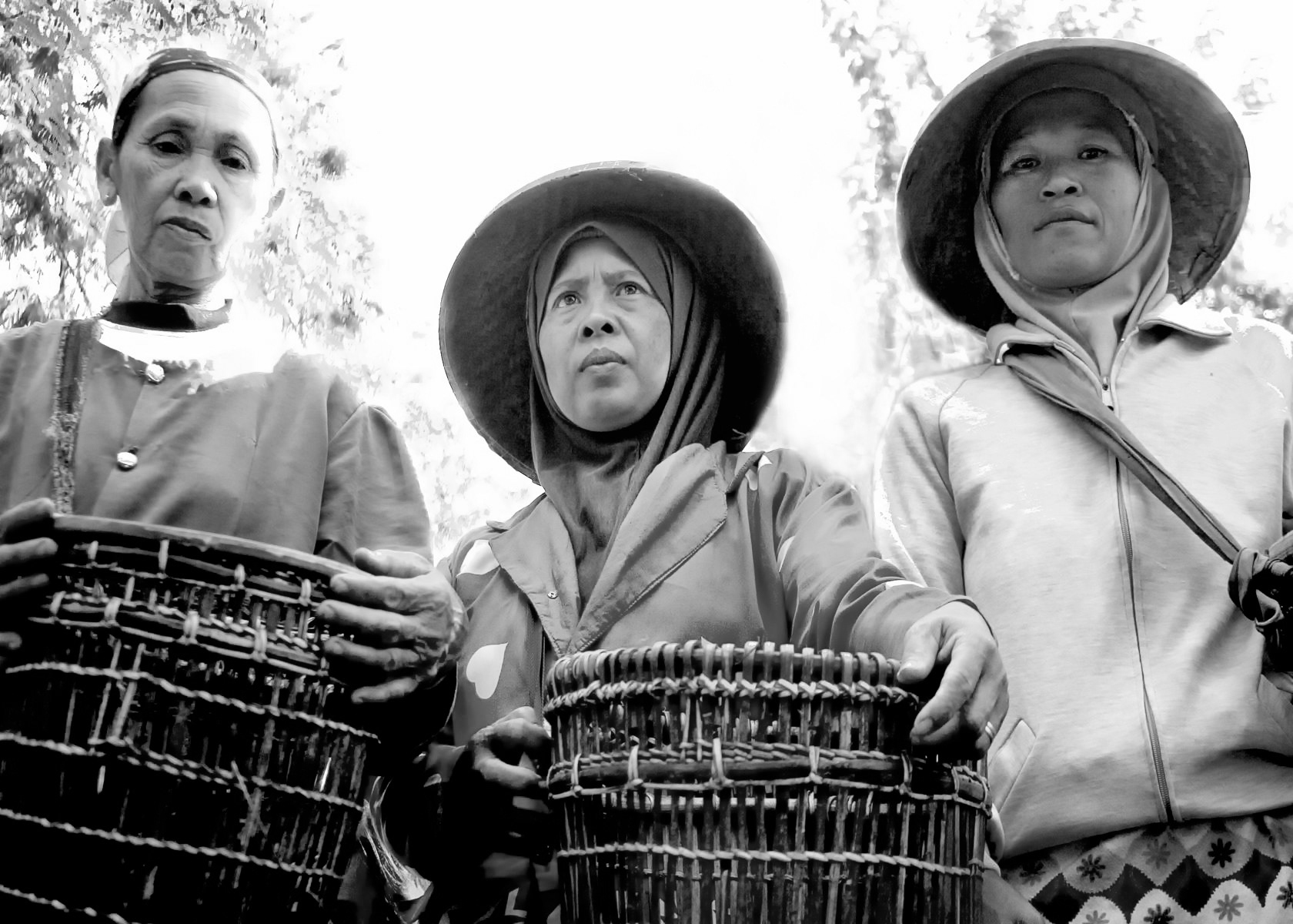 Coffee Pickers