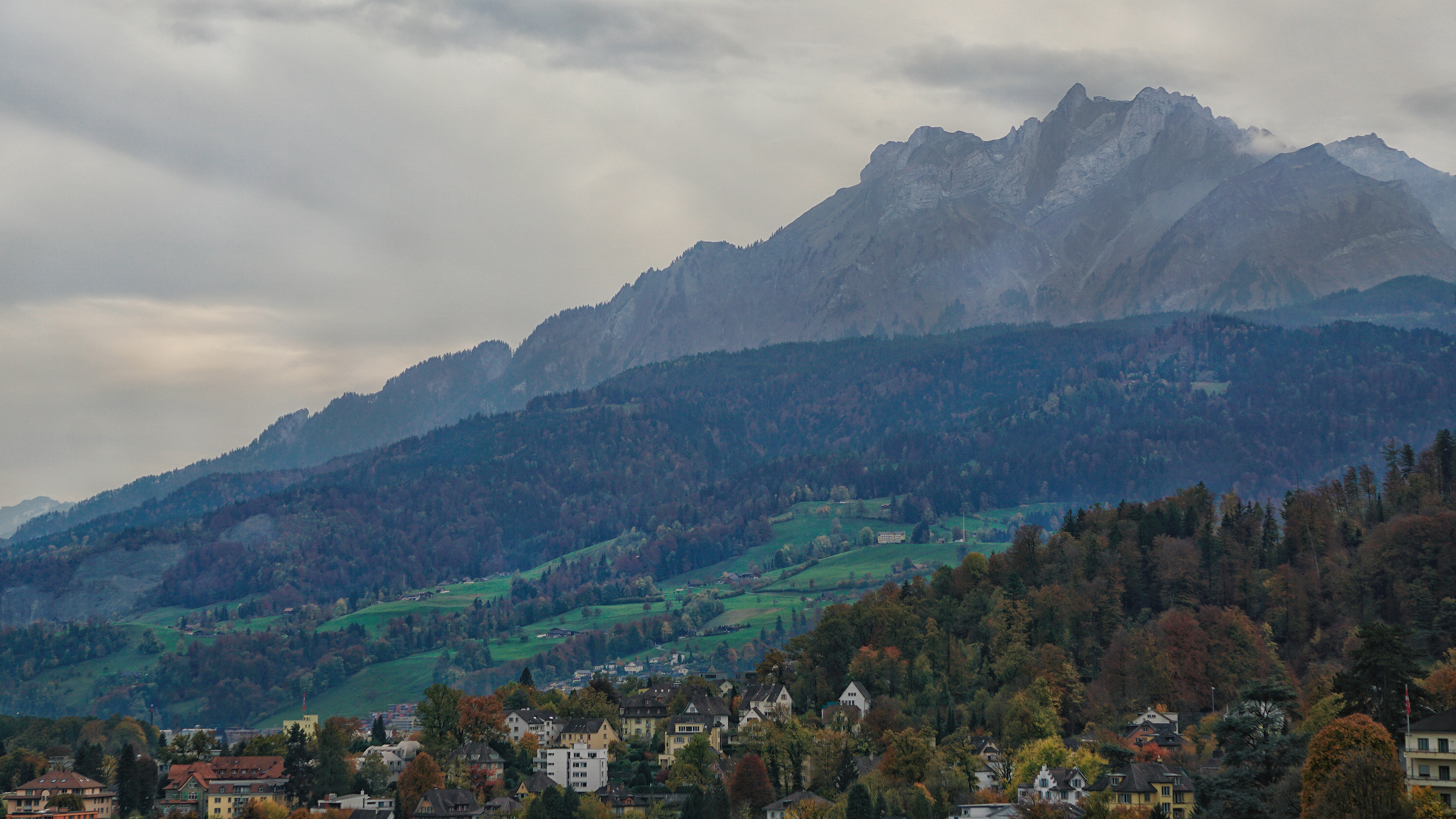 Swiss 