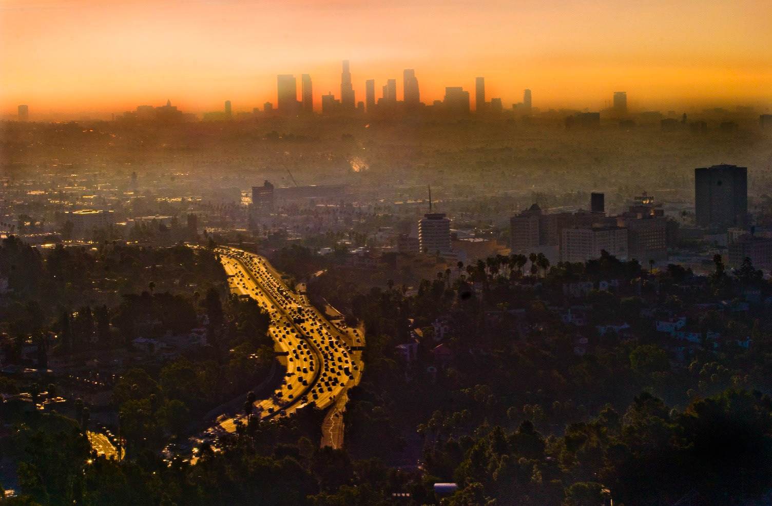 LA Haze