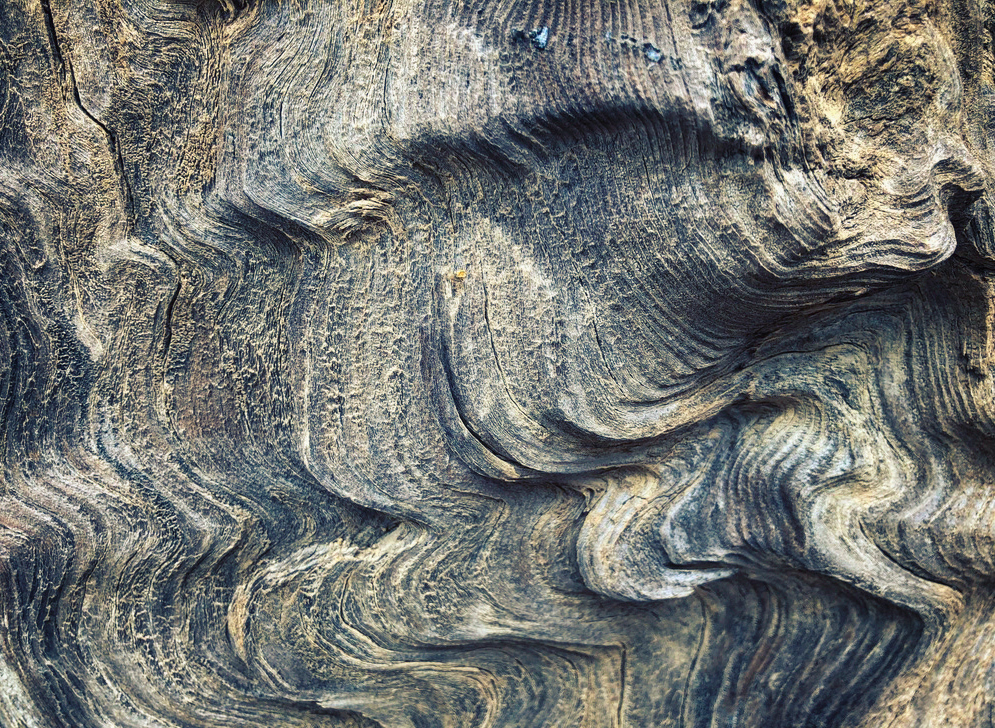 Wood Waves