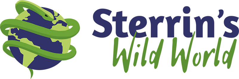 Sterrin's Wild World