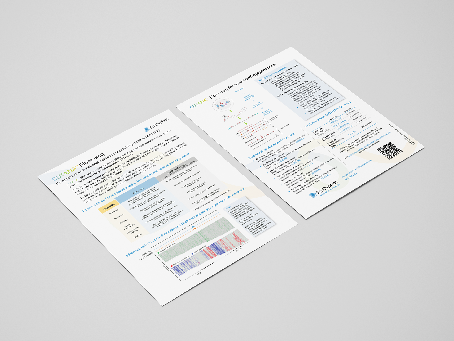 Fiber-seq brochure