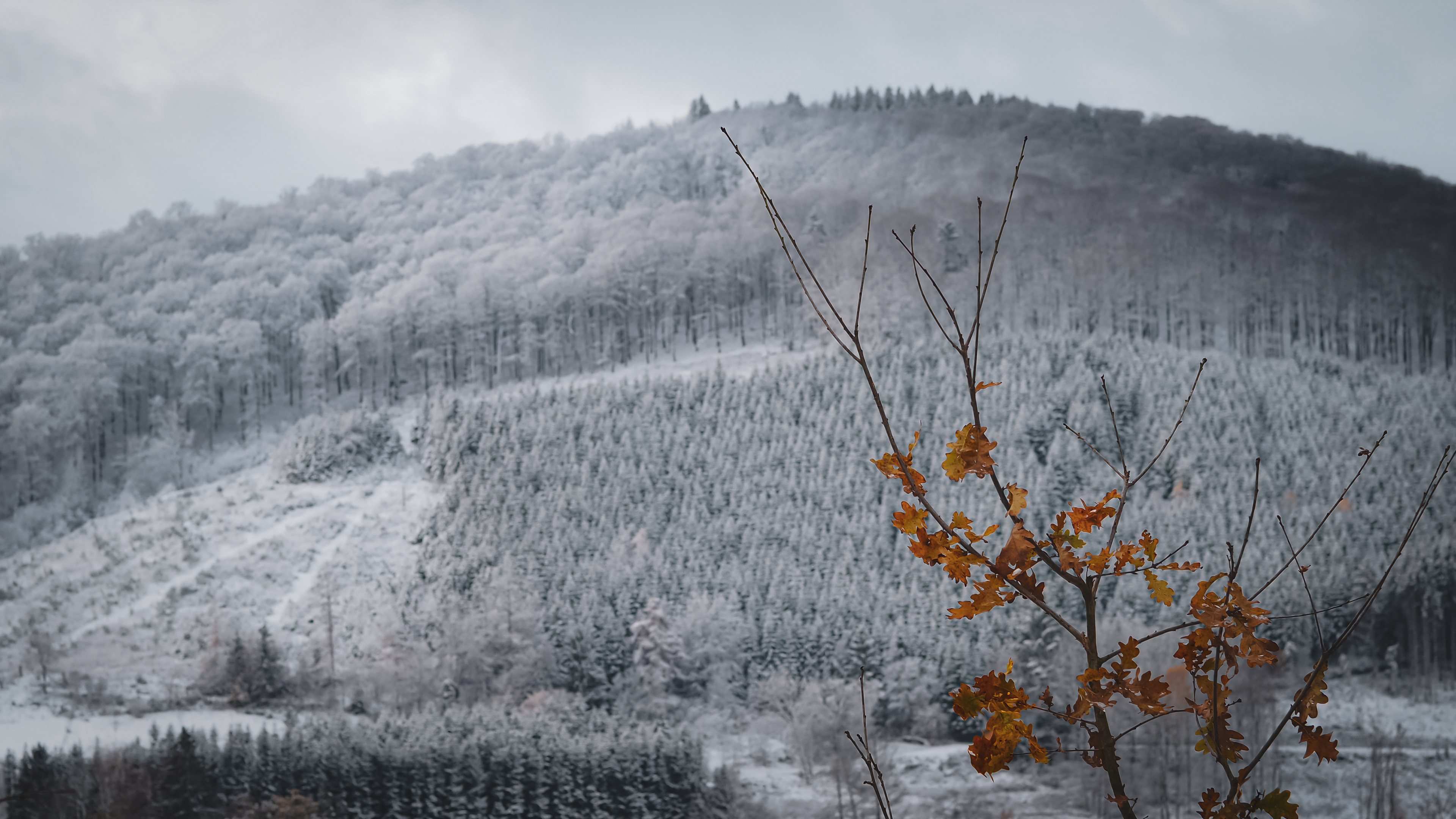 Sauerland, Germany (2023)