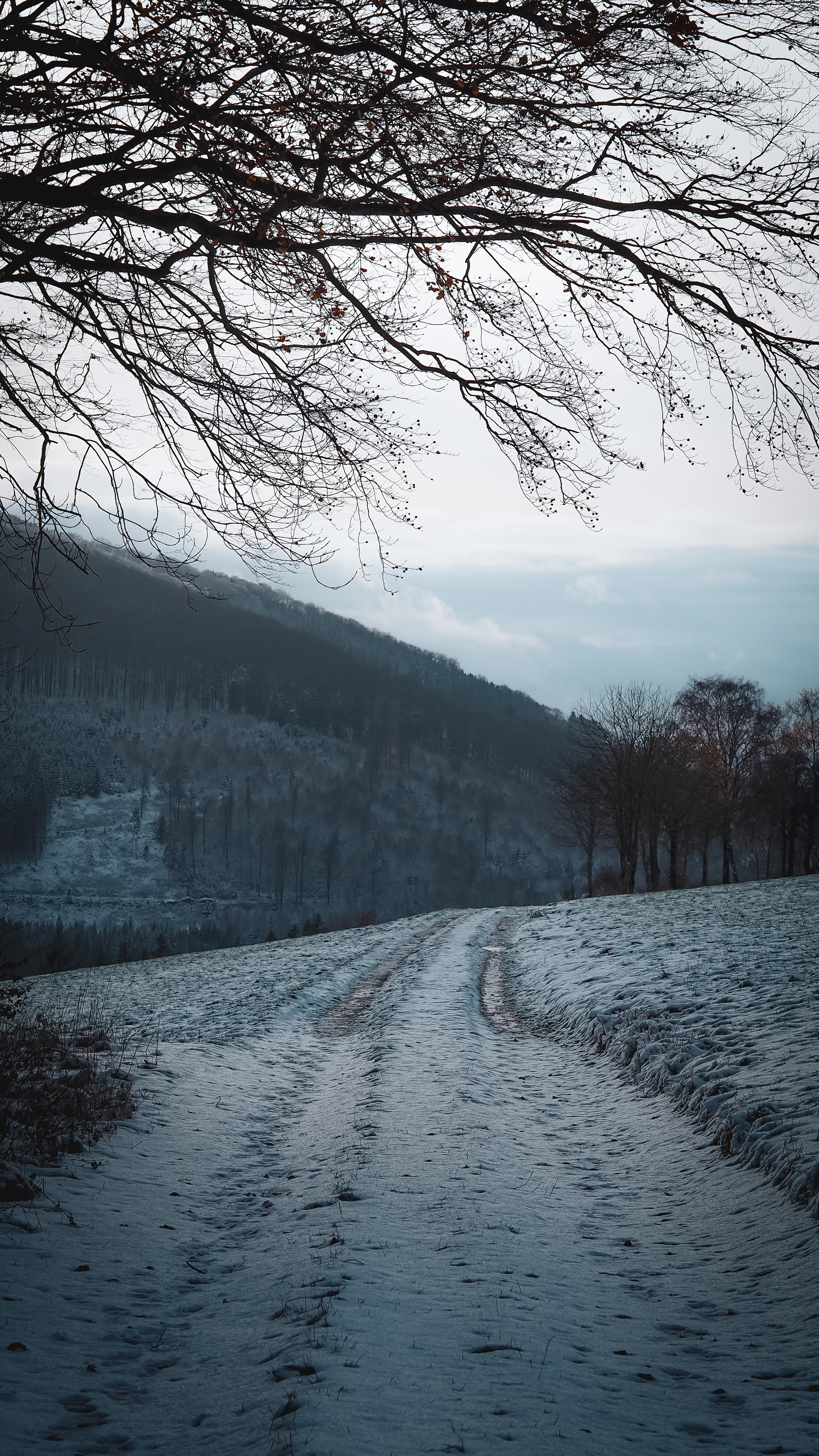 Sauerland, Germany (2023)