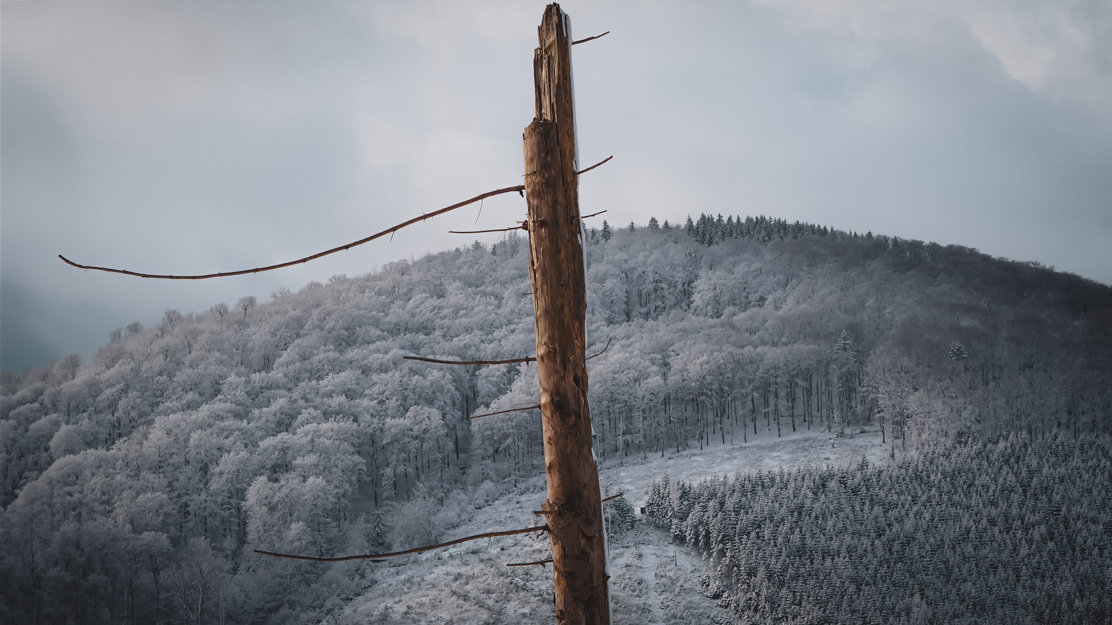 Sauerland, Germany (2023)