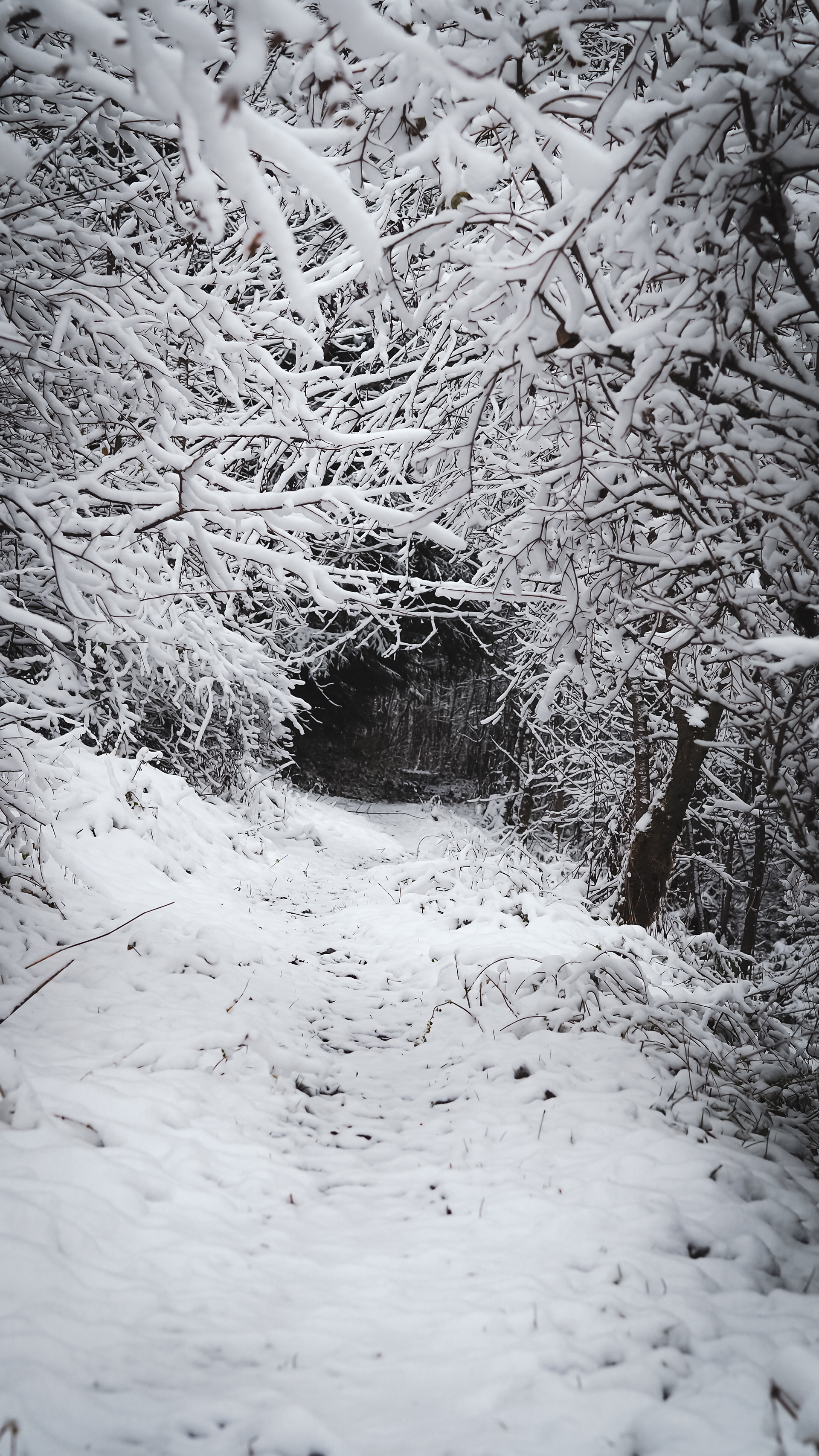 Sauerland, Germany (2023)