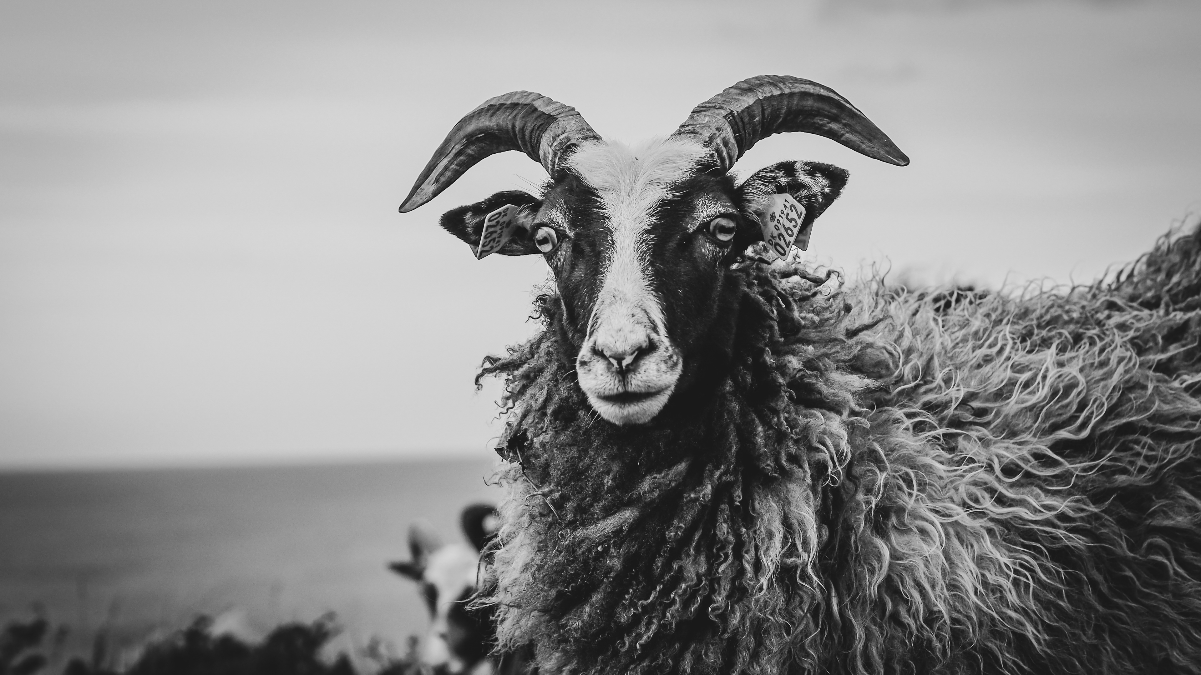 Samsø, Denmark (2025)