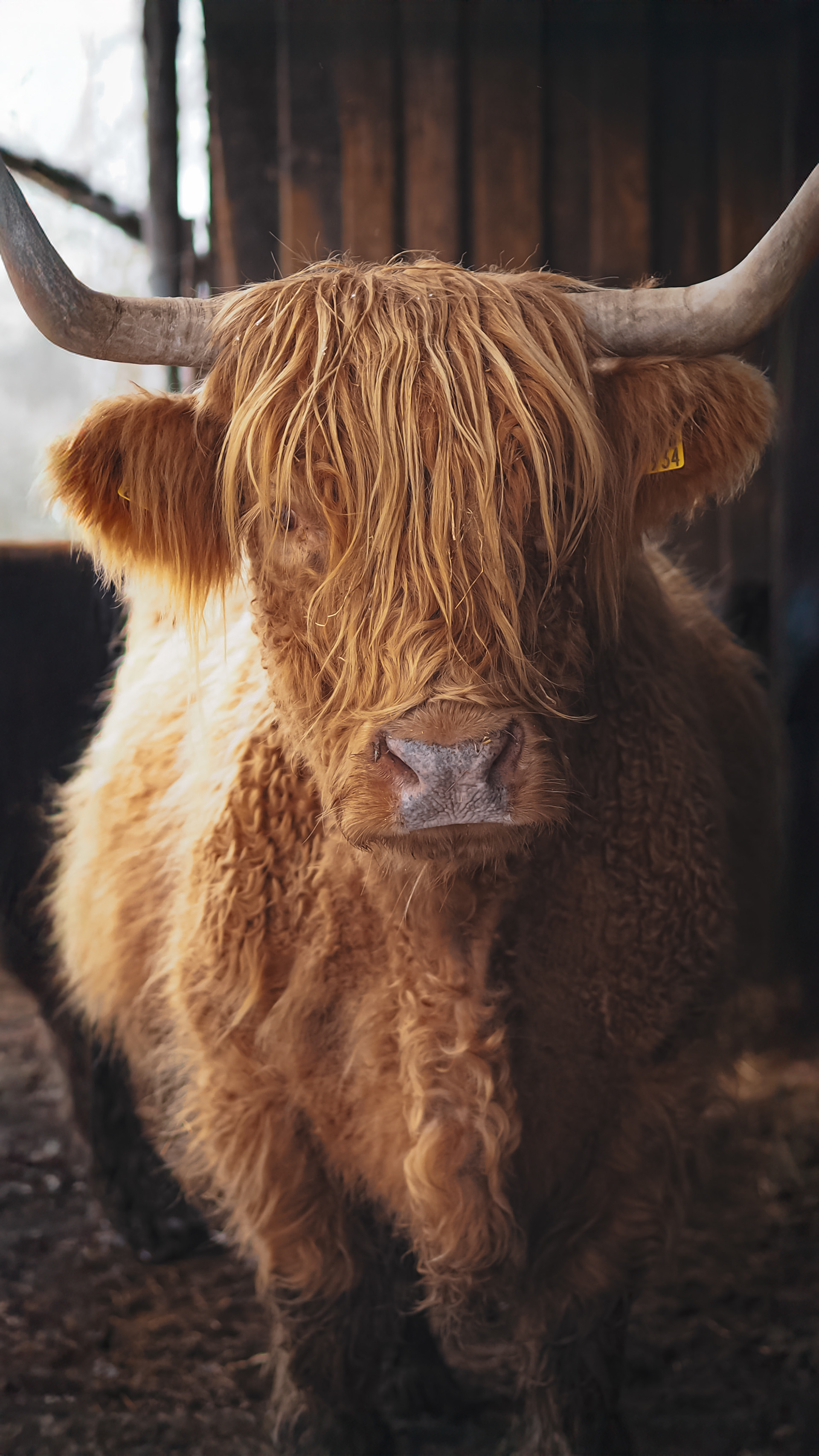 Sauerland, Germany (2023)