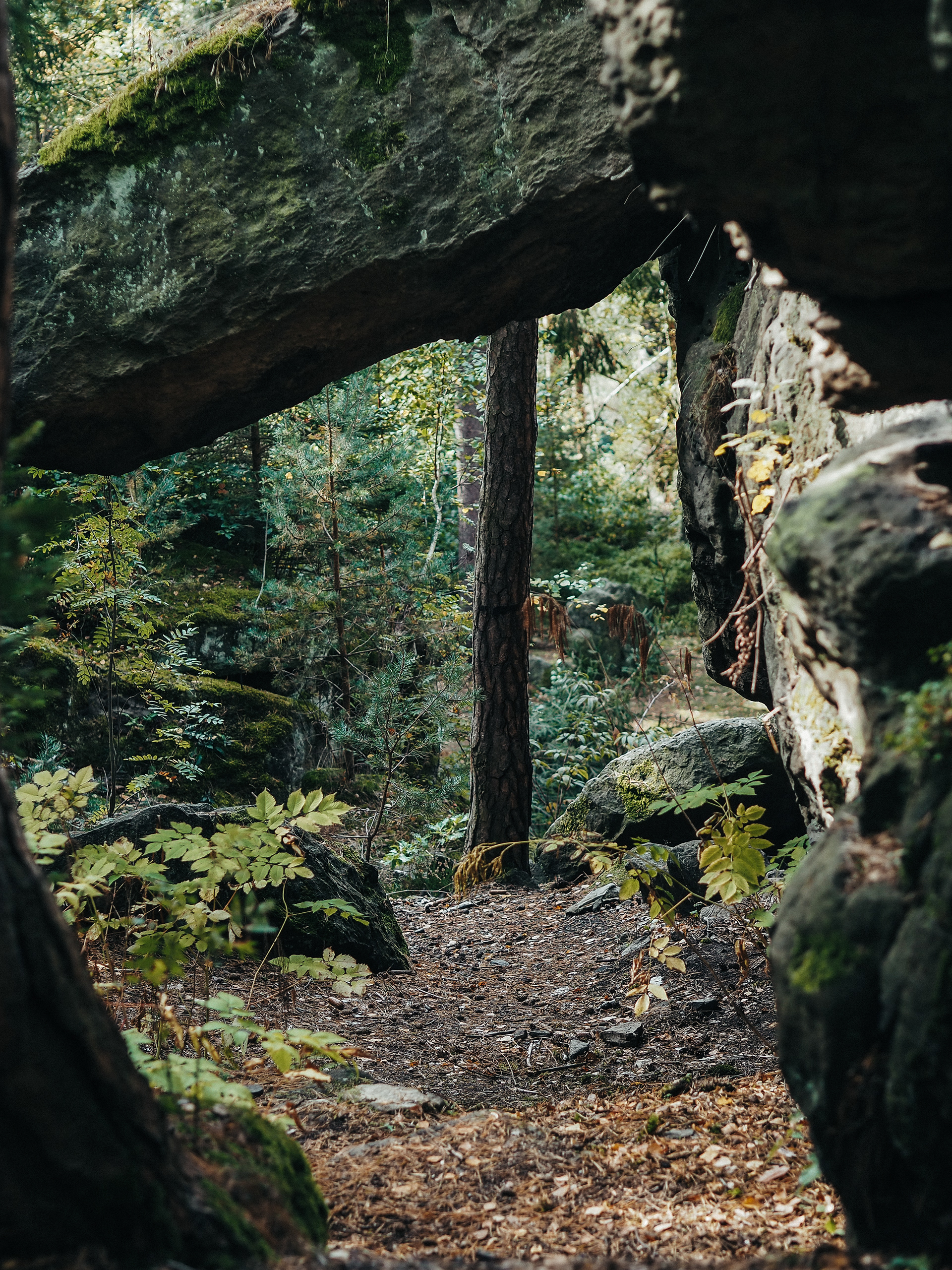 Saxon Switzerland, Germany (2023)