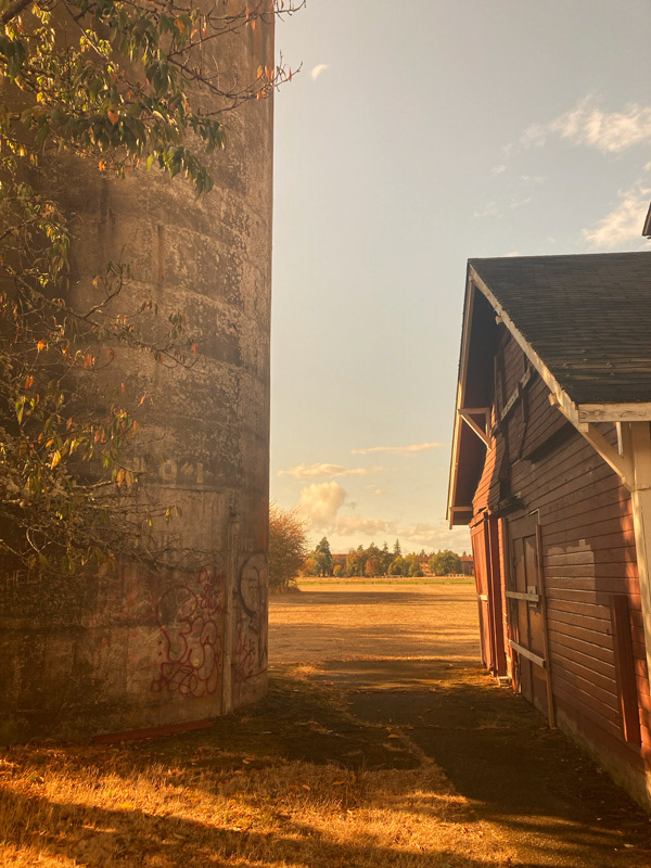 Steilacoom