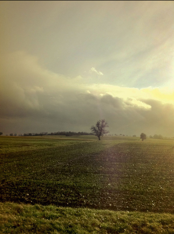 Vaihinger Heide