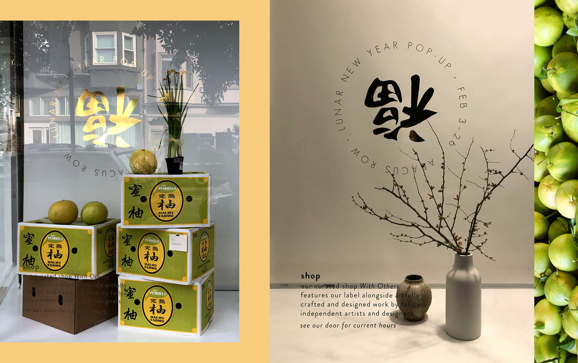 Event logo design of Chinese fu symbol for Abacus Row's Lunar New Year pop-up