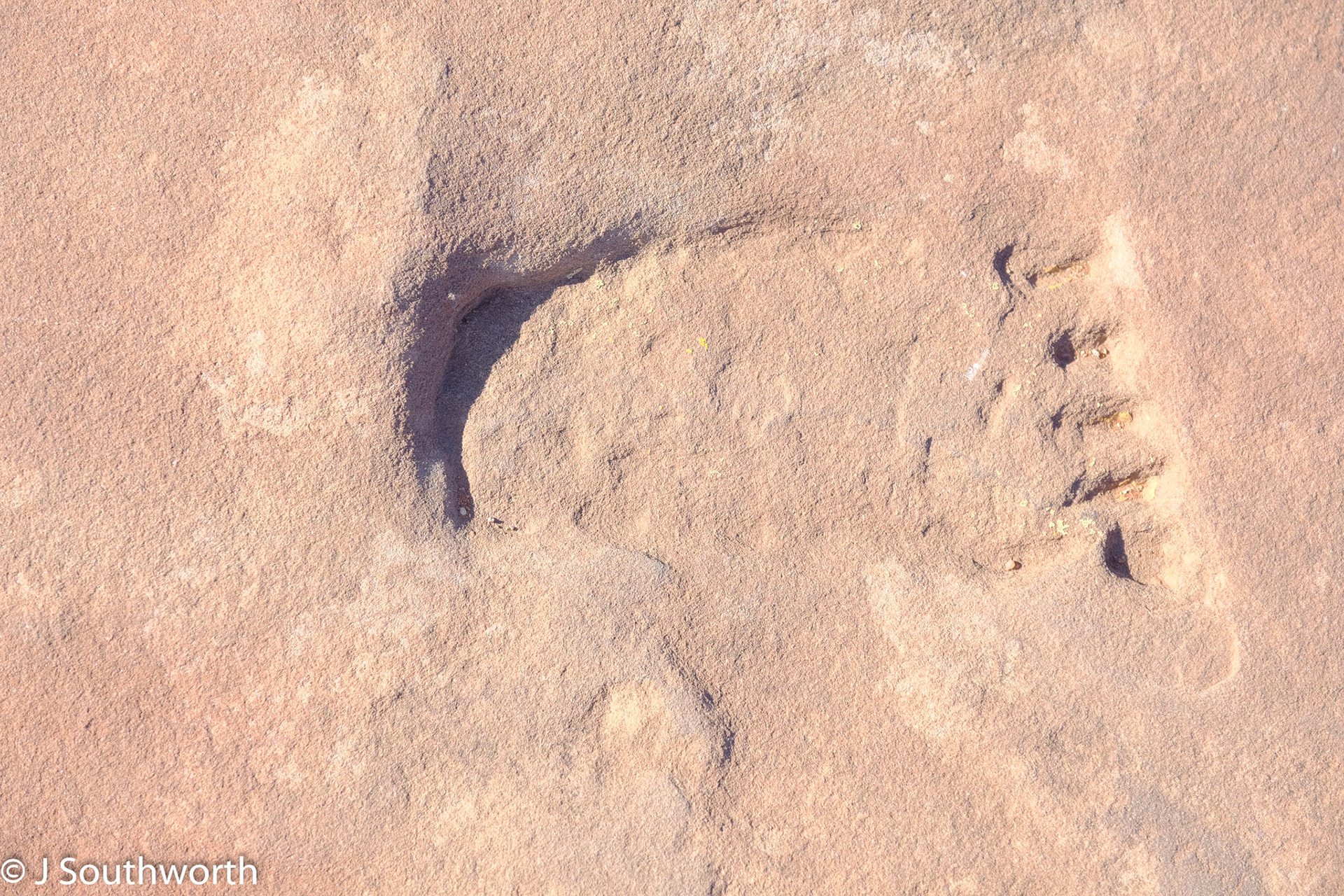 Canyon de Chelly National Monument 2019