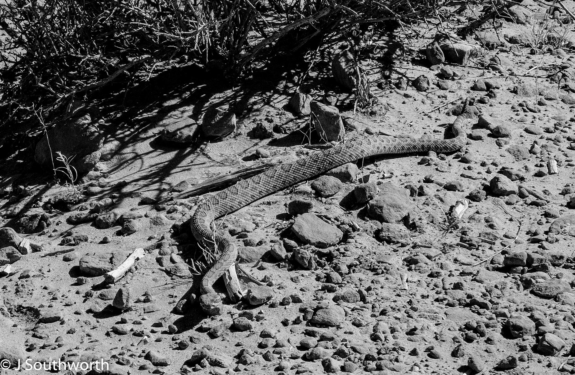 Arches National Park 2019