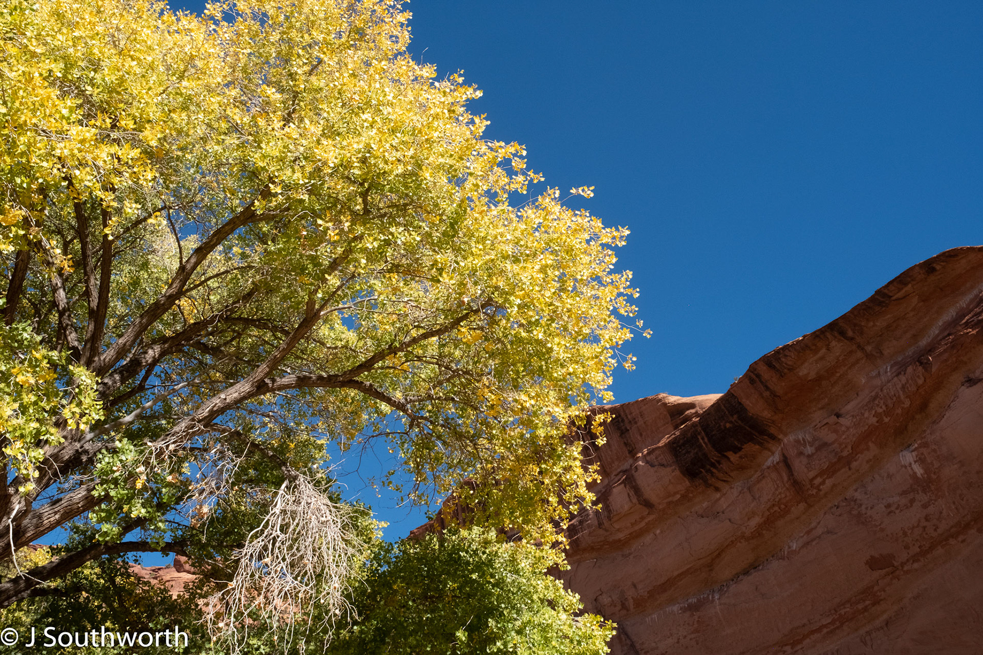 Canyon de Chelly National Monument