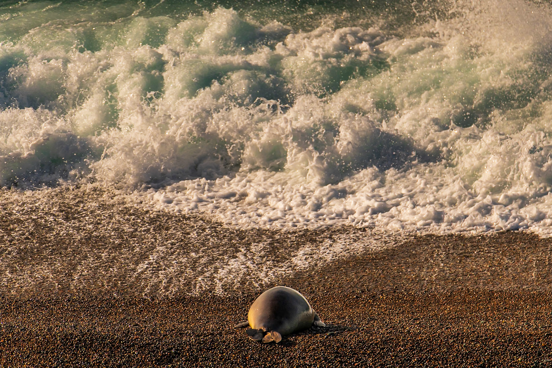 Punta Cantor, Chubut. Argentina