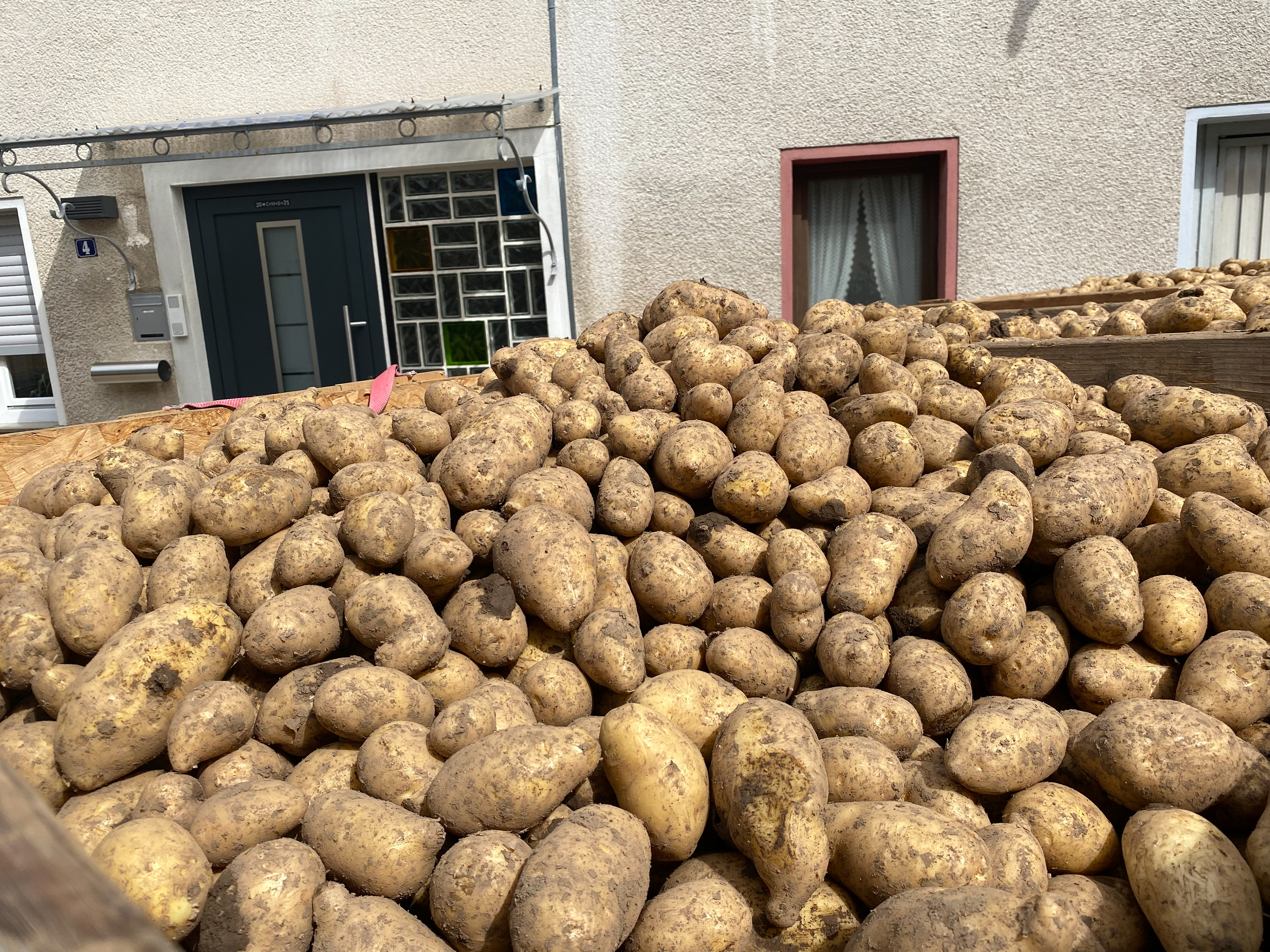 Kartoffeln