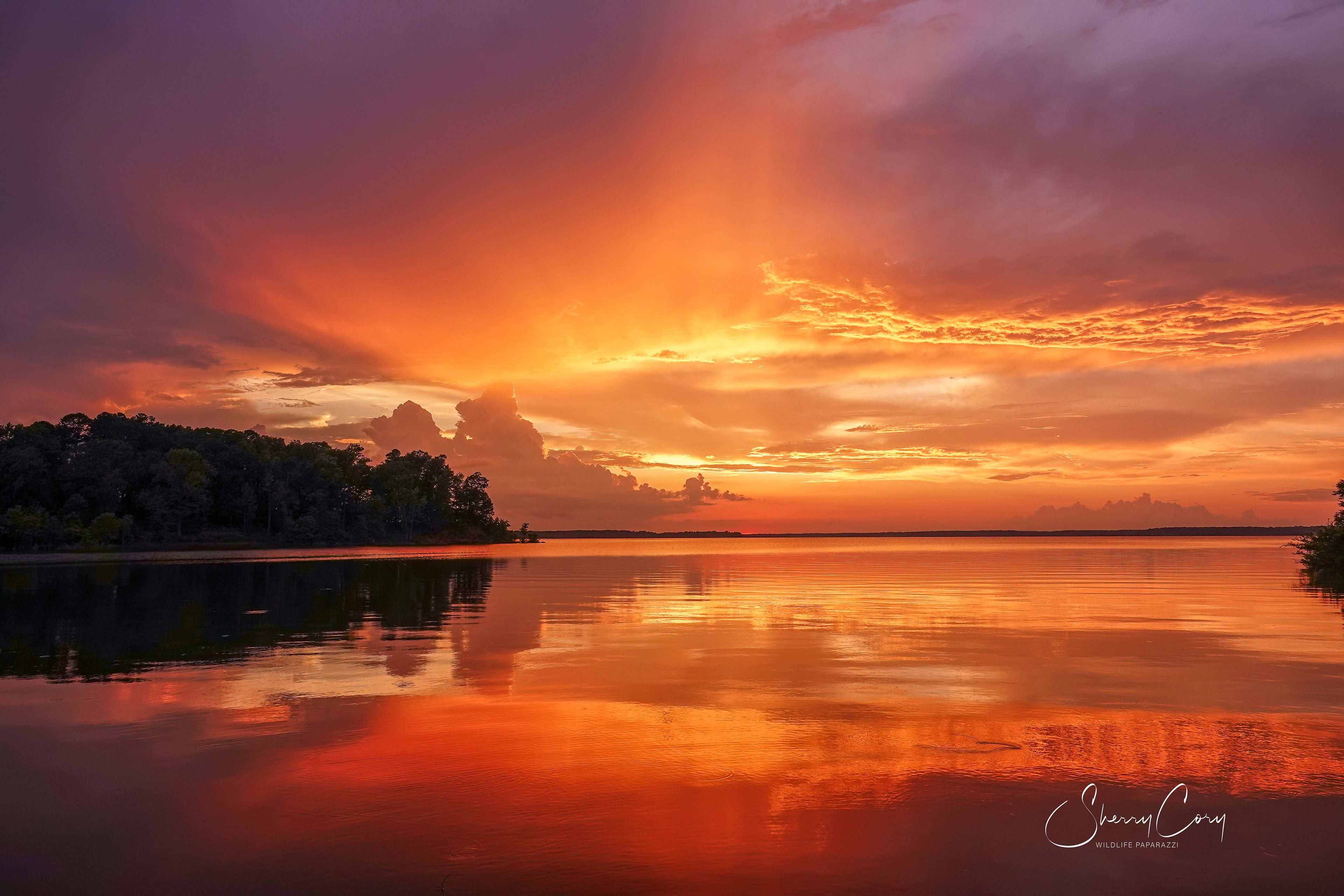 God's Canvas