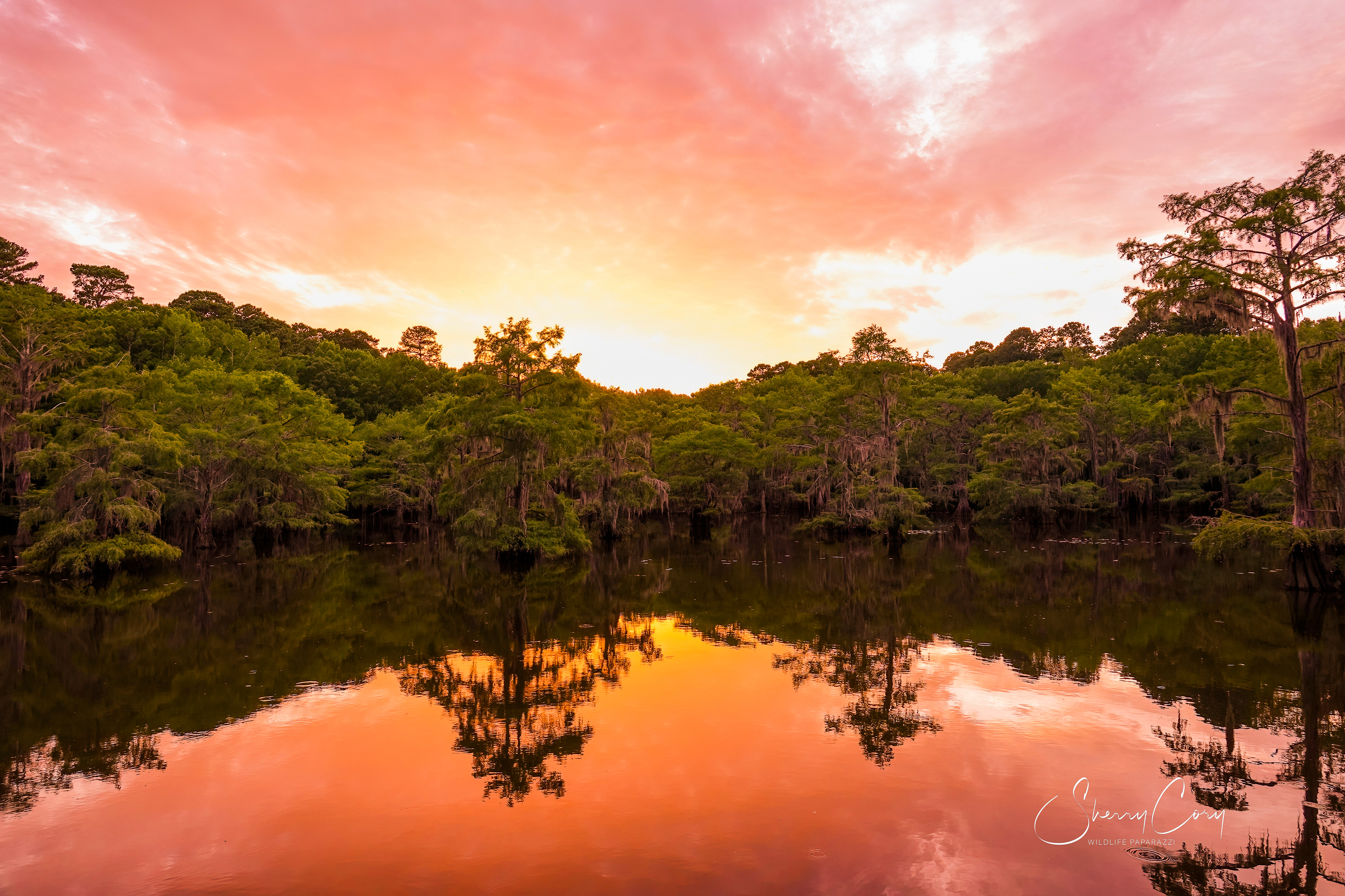 Caddo Sunset