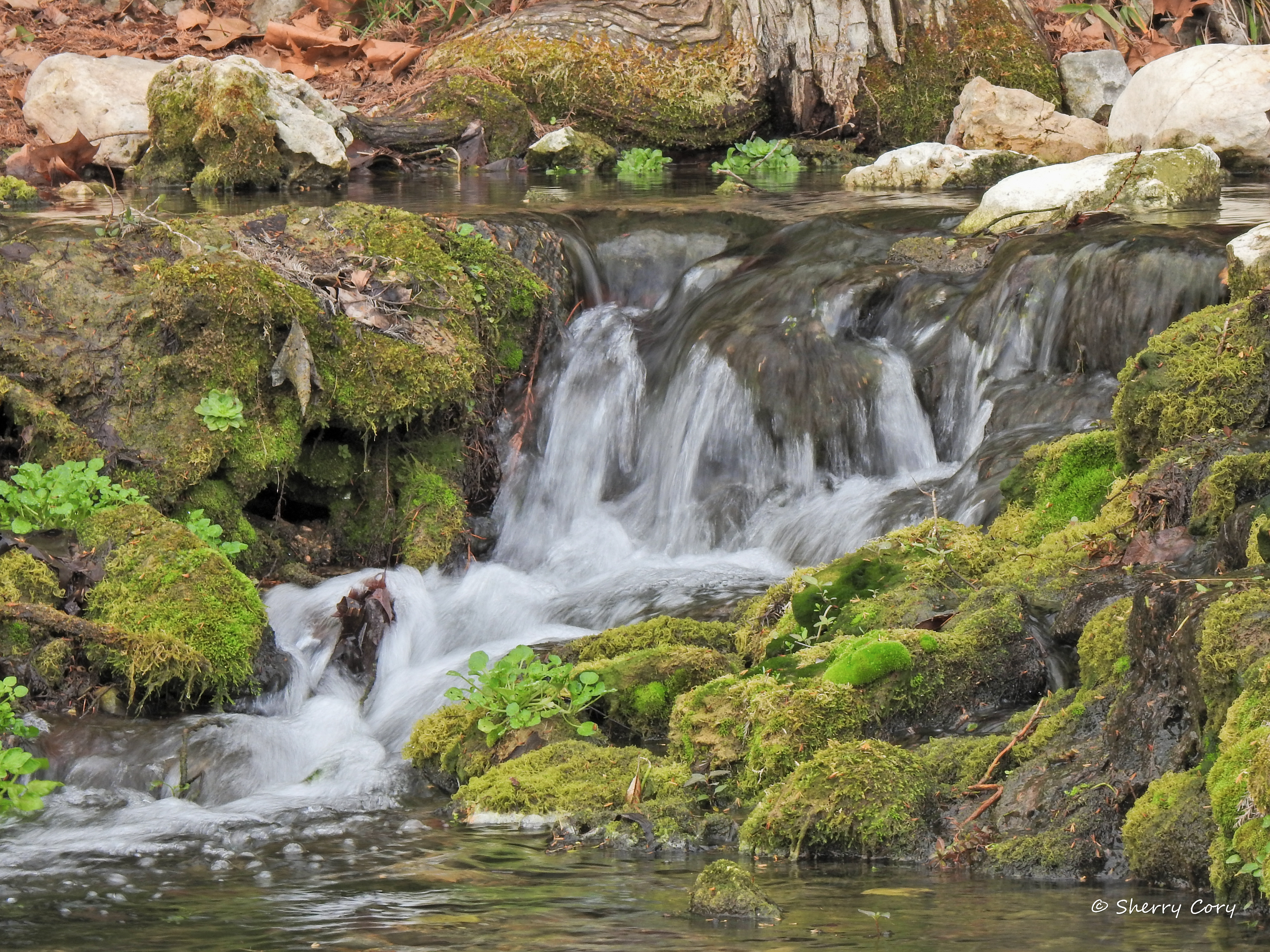 Flowing streams 2/10
