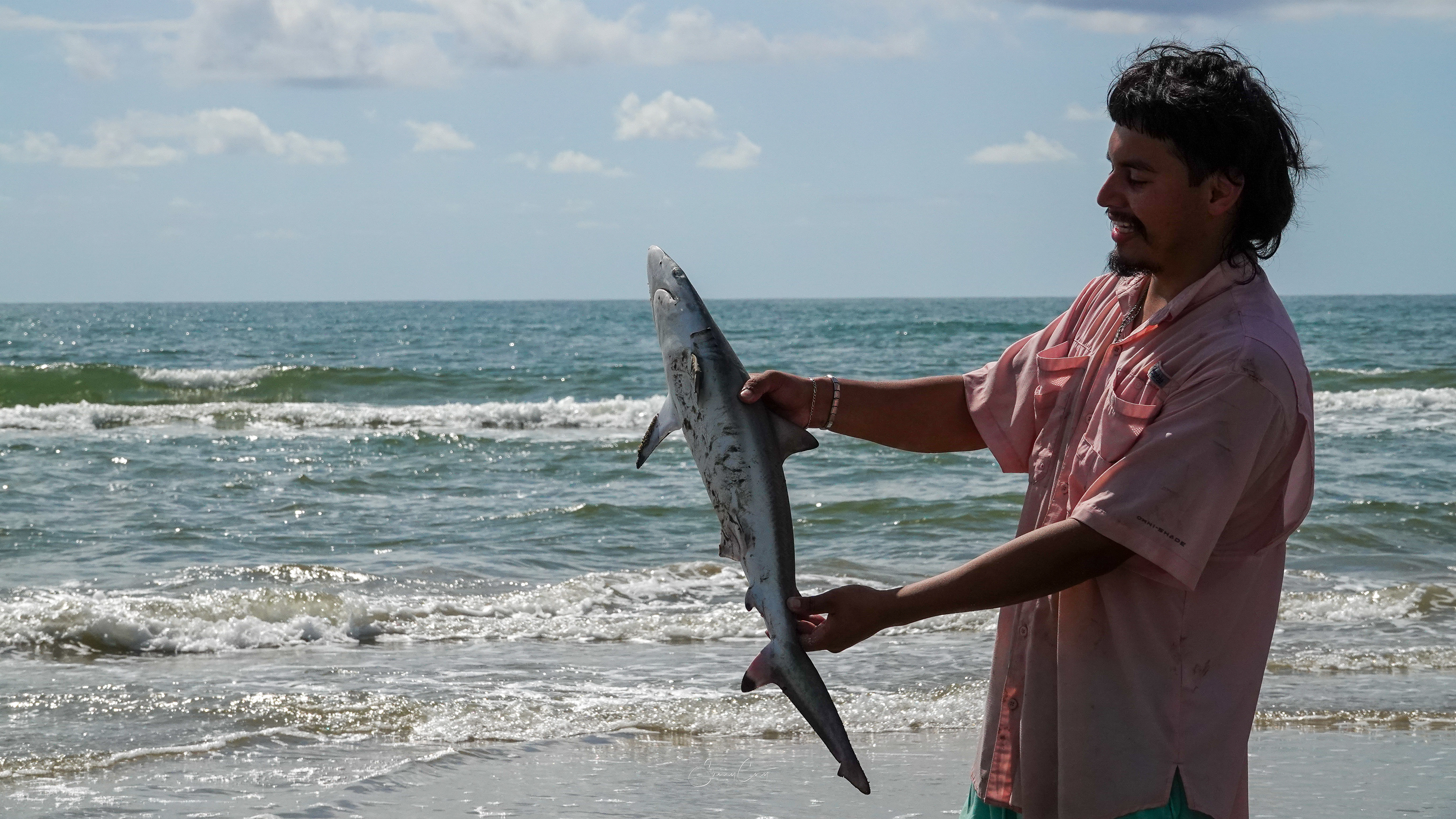 This man caught a small Blacktipshark