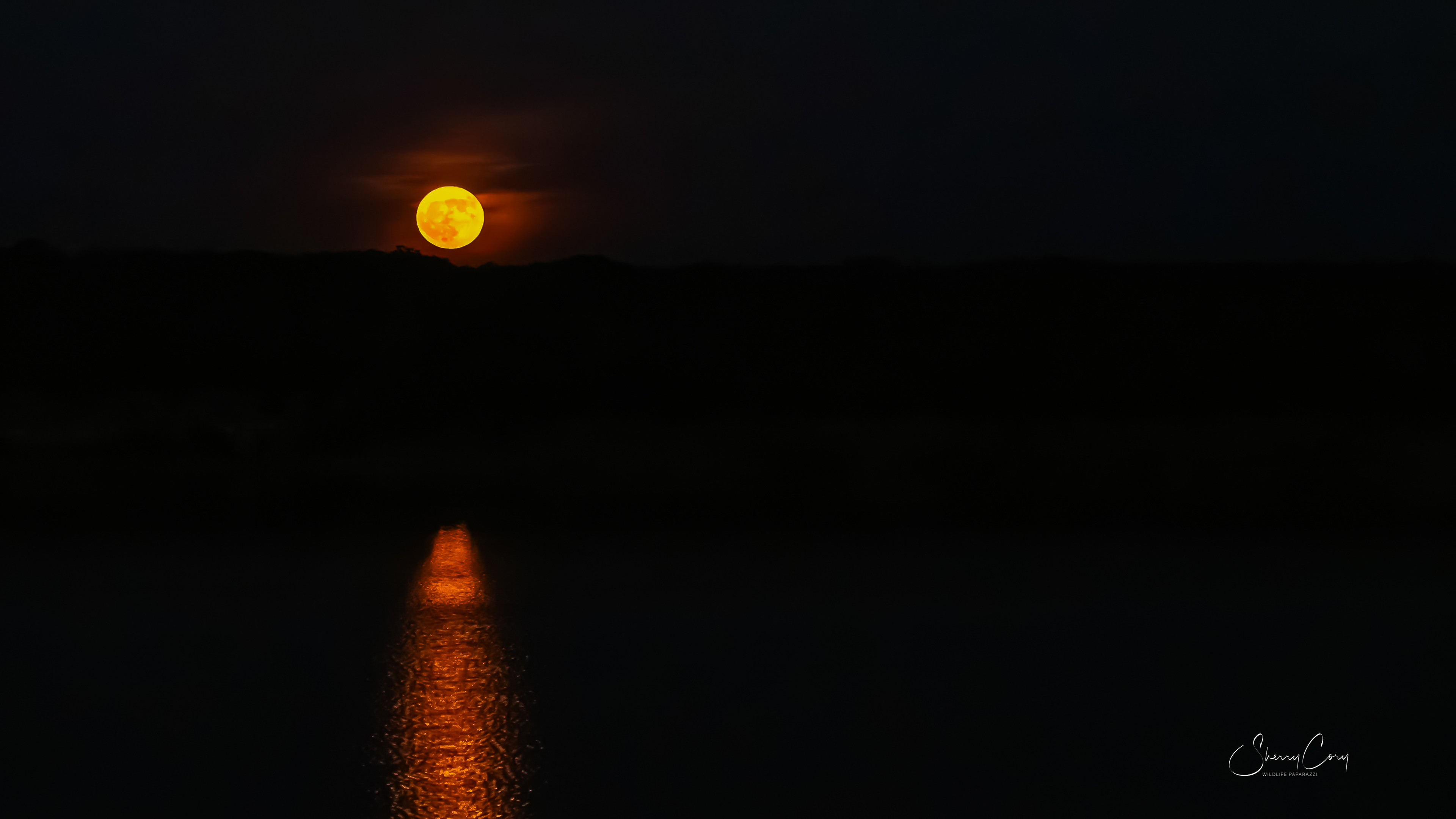 Super Moon 1/10