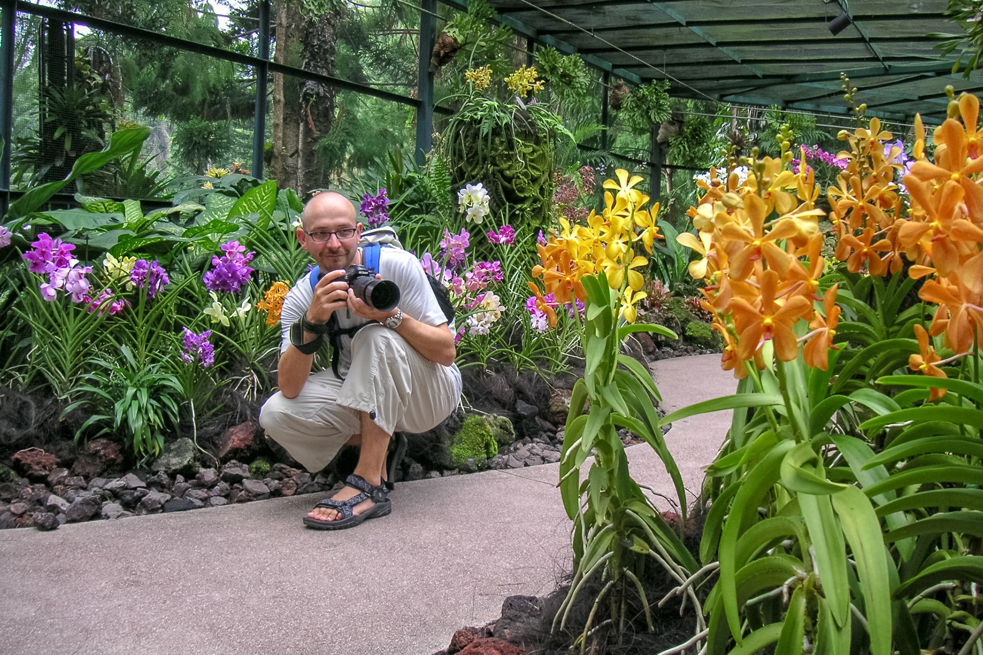 KONICA MINOLTA DIGITAL CAMERA