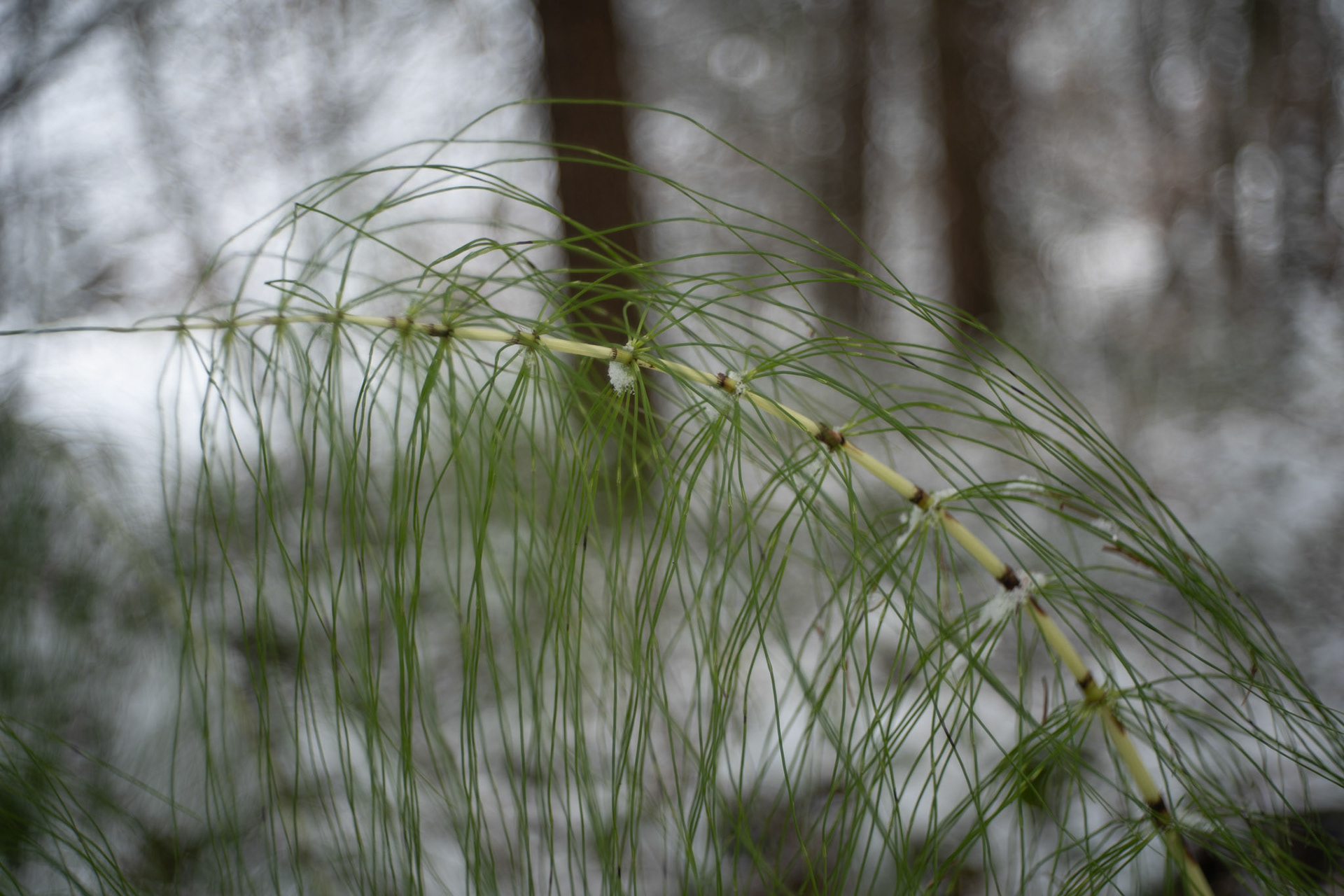 f/2.9