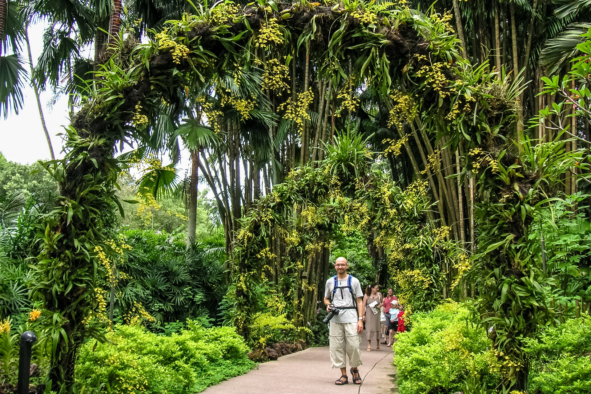 KONICA MINOLTA DIGITAL CAMERA