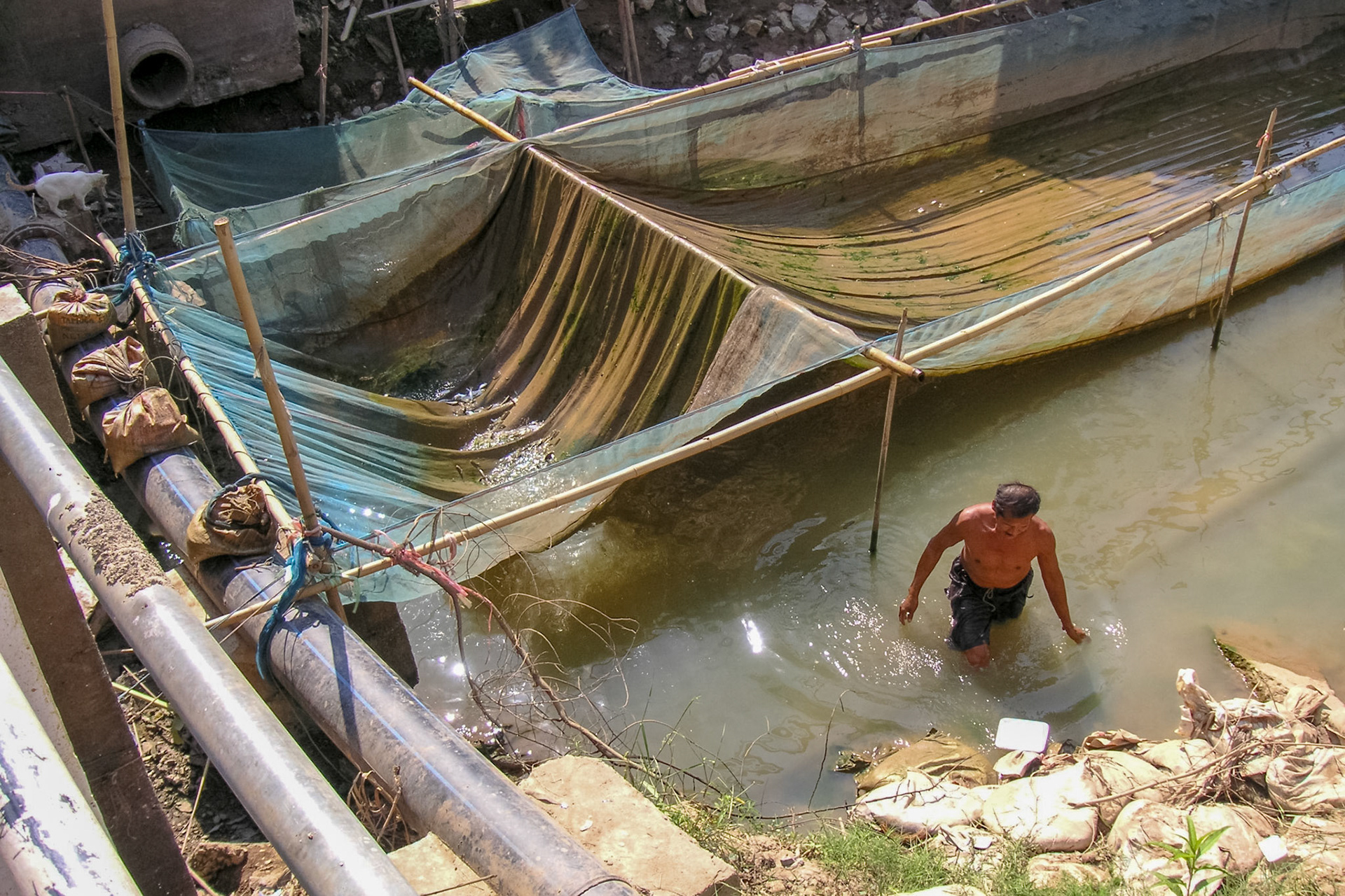 KONICA MINOLTA DIGITAL CAMERA