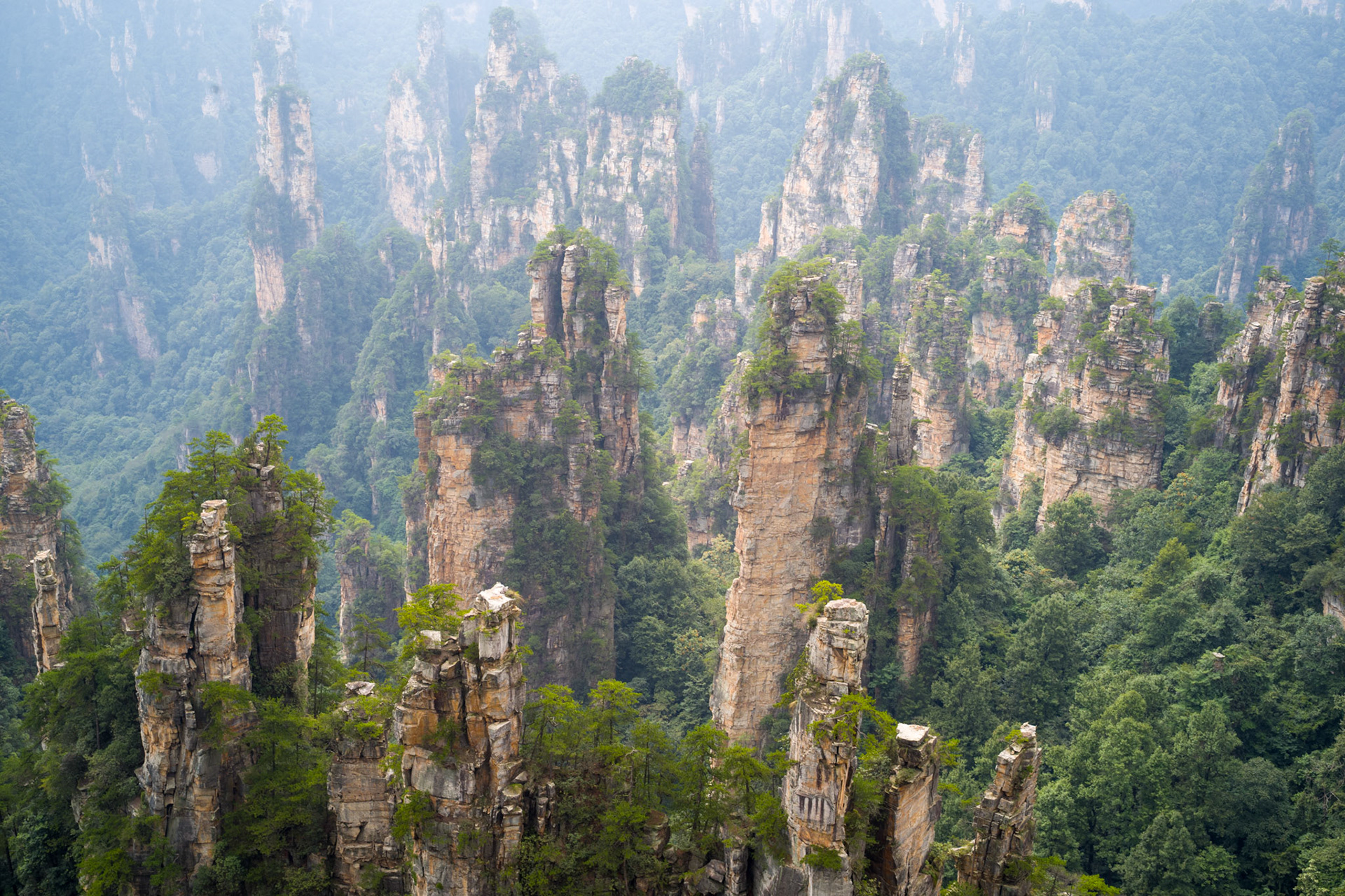 China, Zhangjiajie National Forest Park, 2025