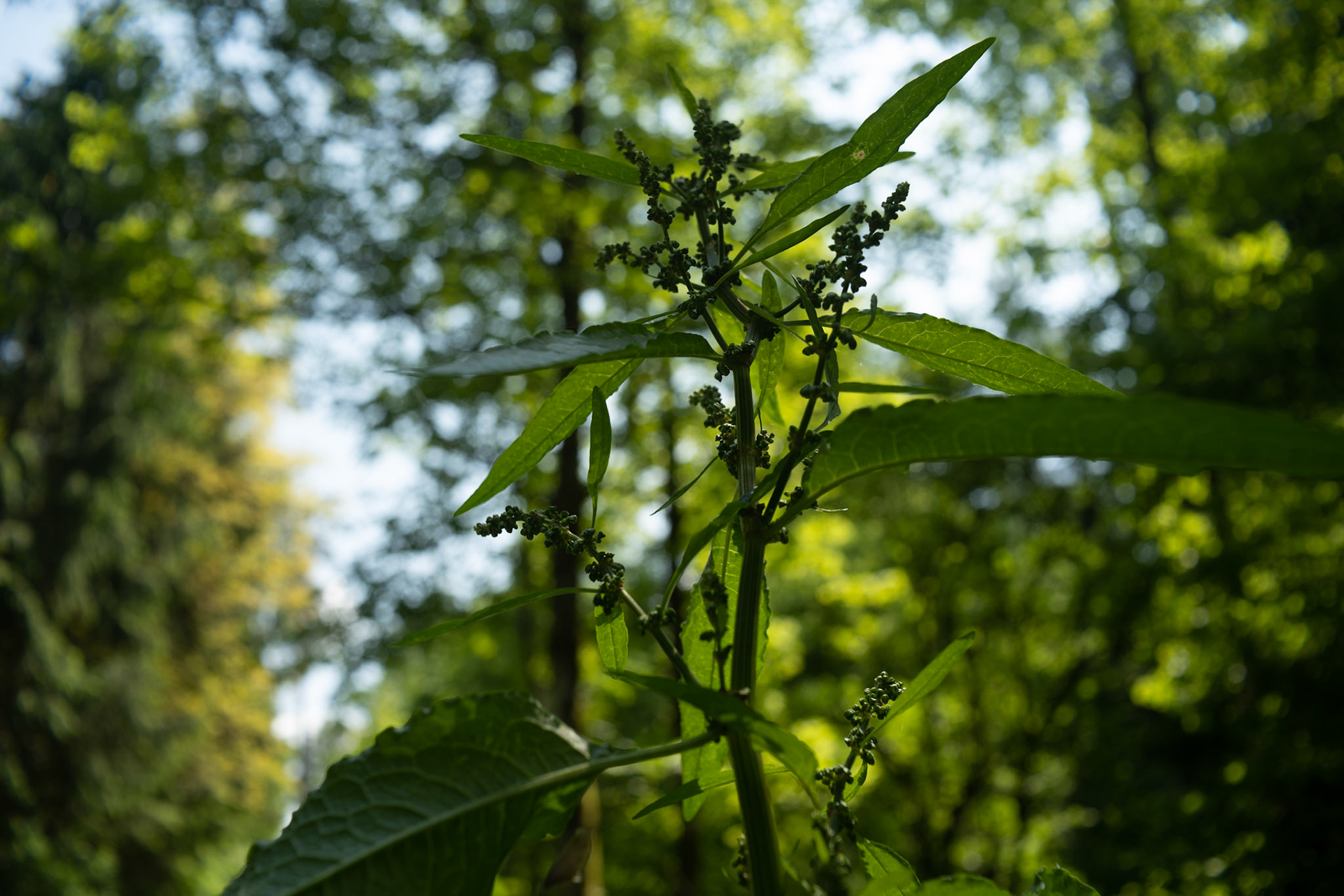 f/5.6