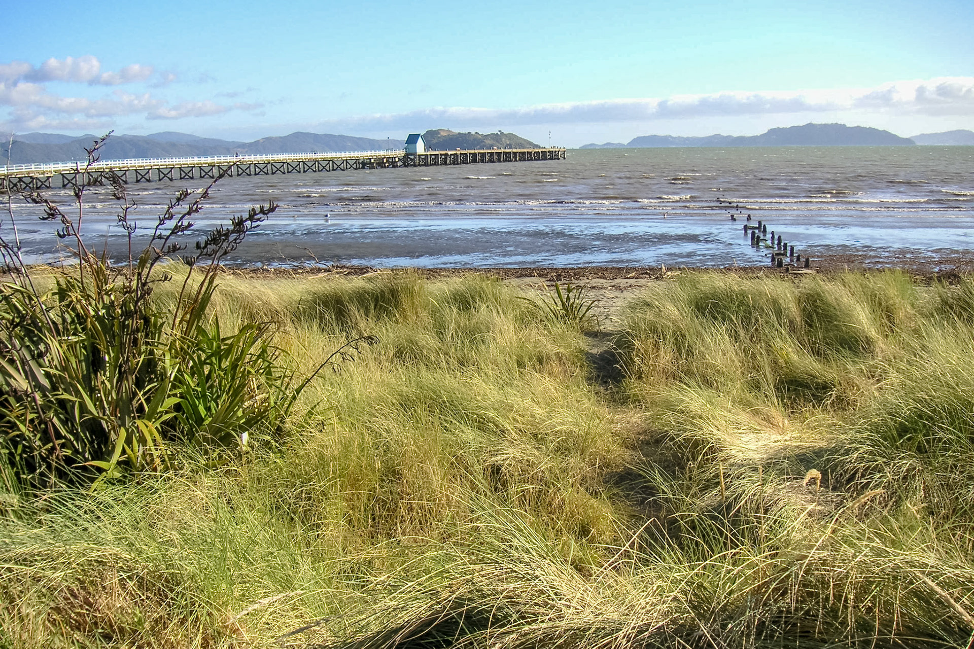 KONICA MINOLTA DIGITAL CAMERA