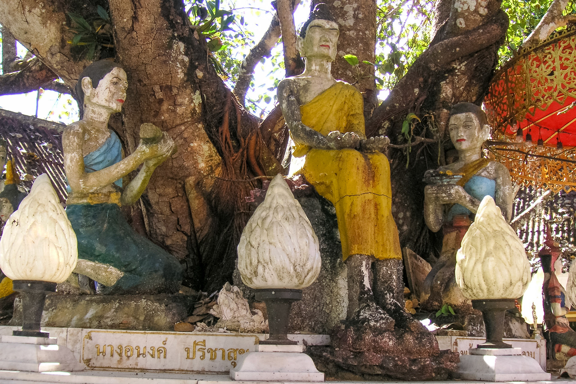 KONICA MINOLTA DIGITAL CAMERA