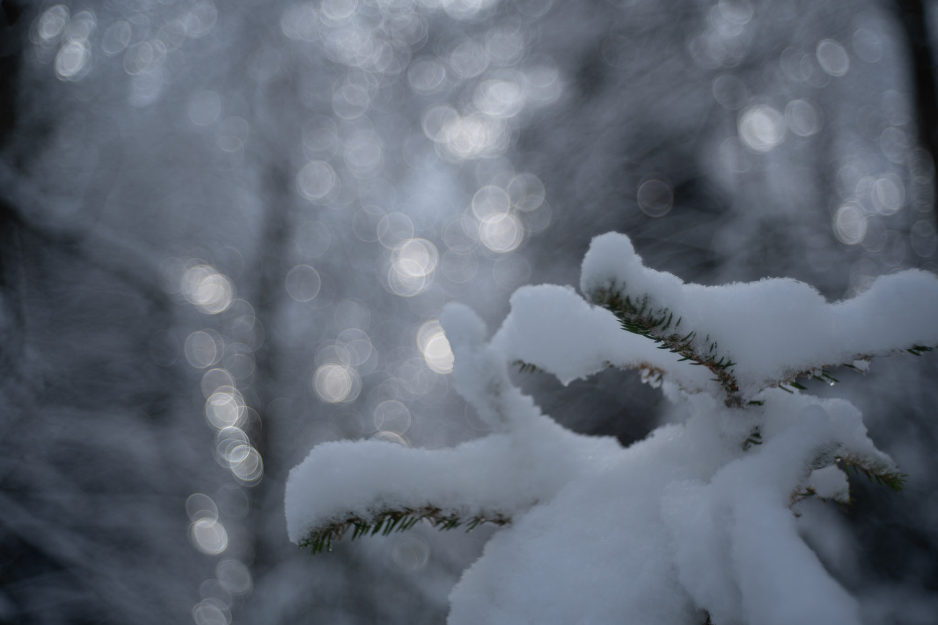 Seifenblasen-Bokeh :-)