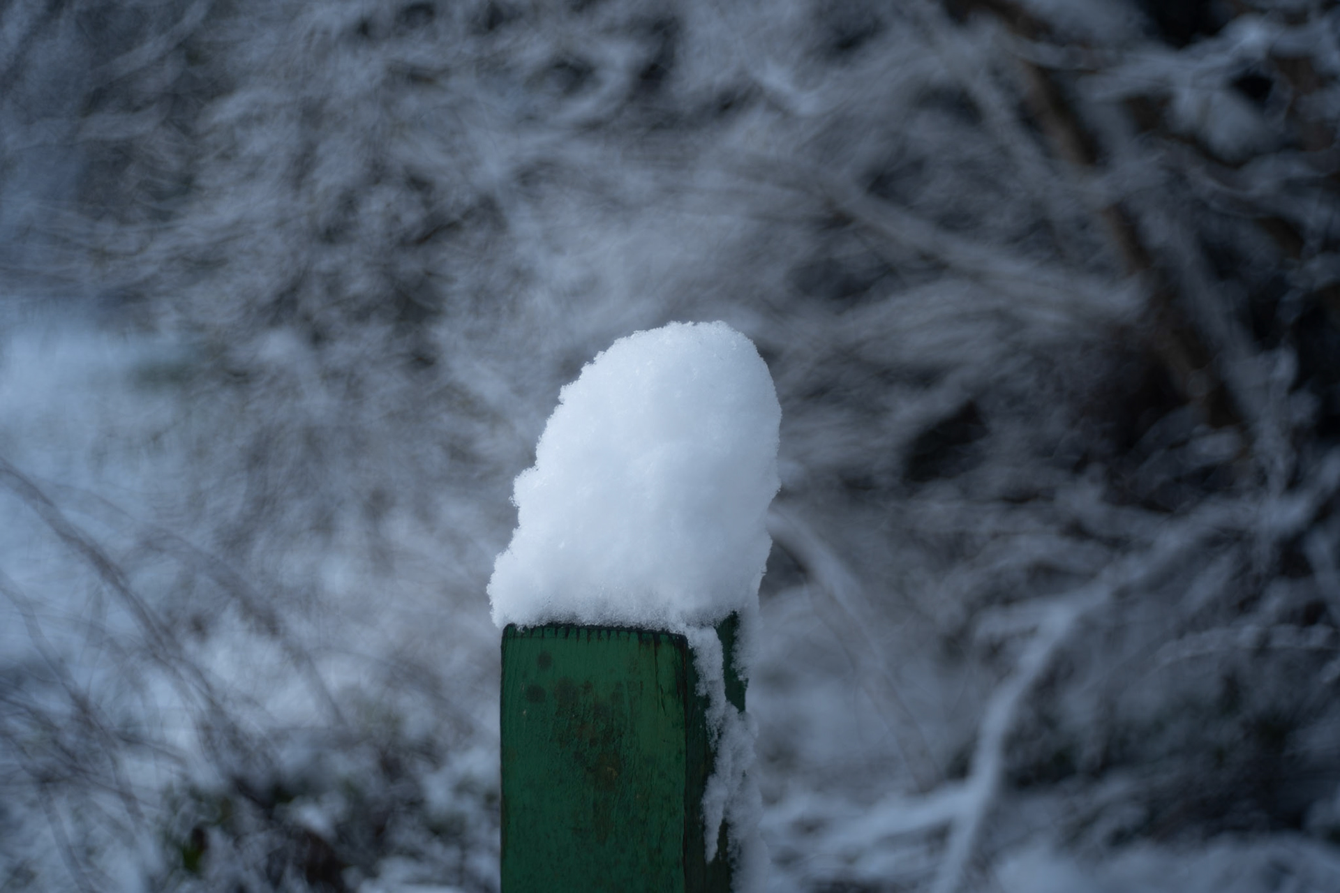 Kein Seifenblasen-Bokeh :-(