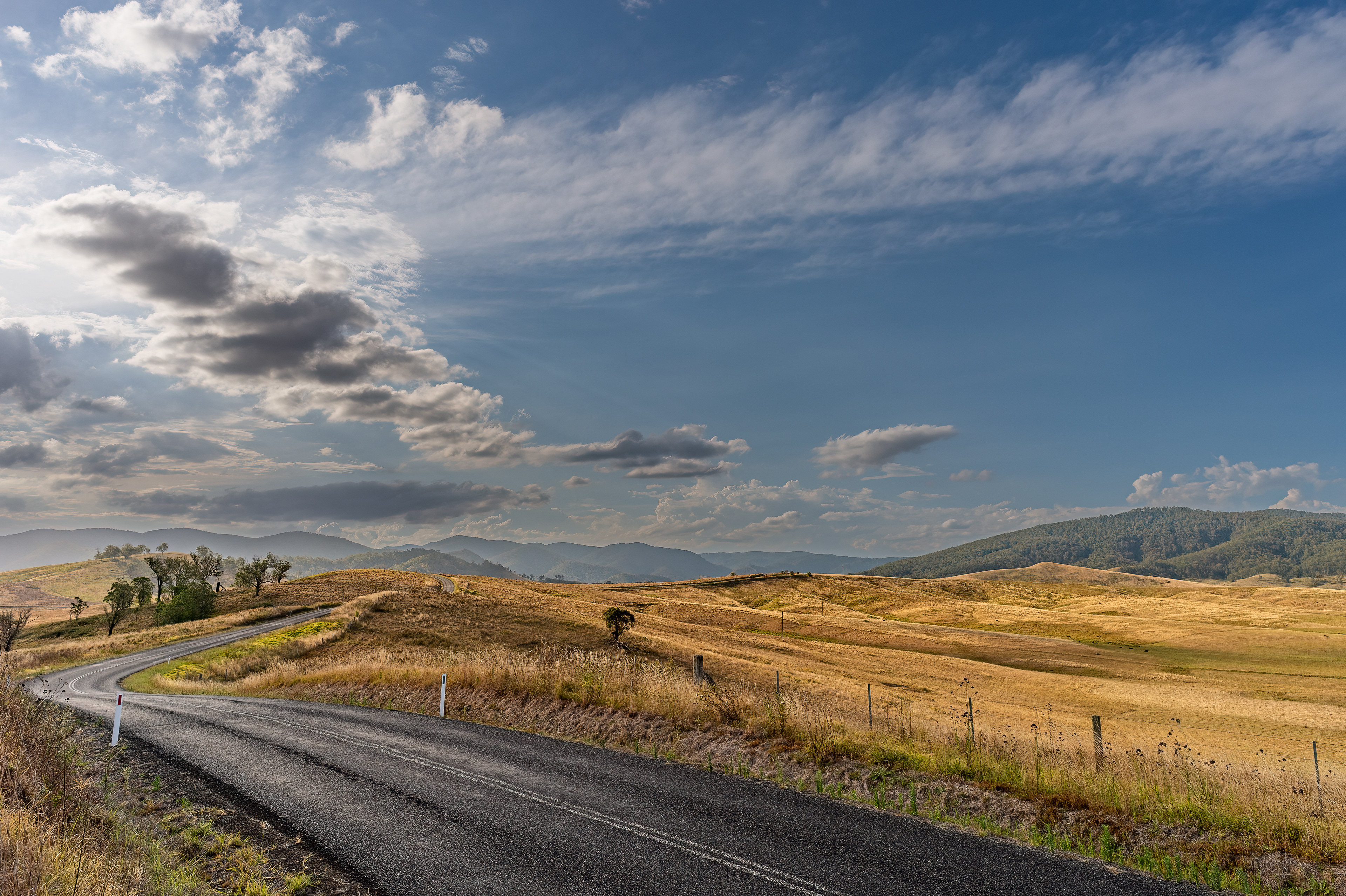 En route to the Barrington Tops, near Copeland NSW. 03 Jan 2023