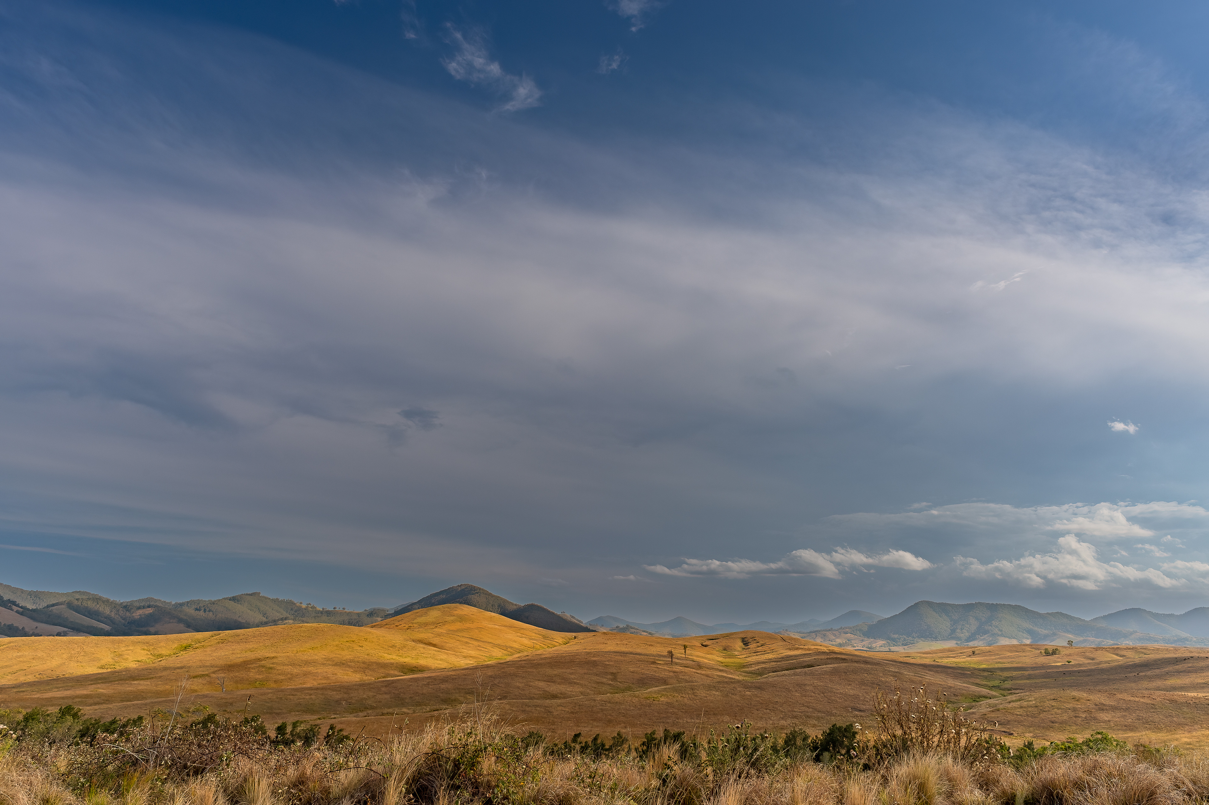 En route to the Barrington Tops, near Copeland NSW. 03 Jan 2023