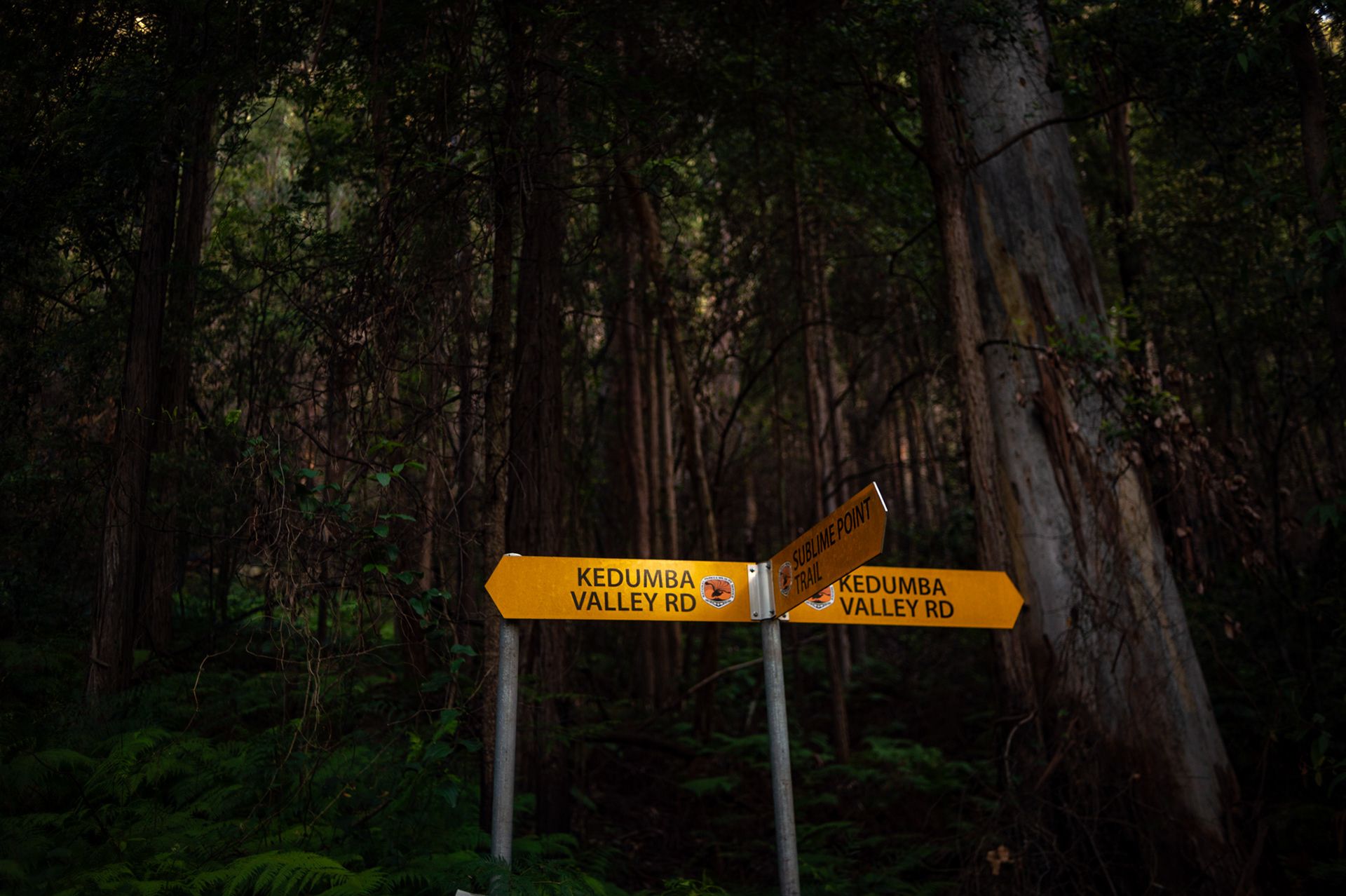 At the beginning of the Kedumba Pass climb, Blue Mountains, NSW