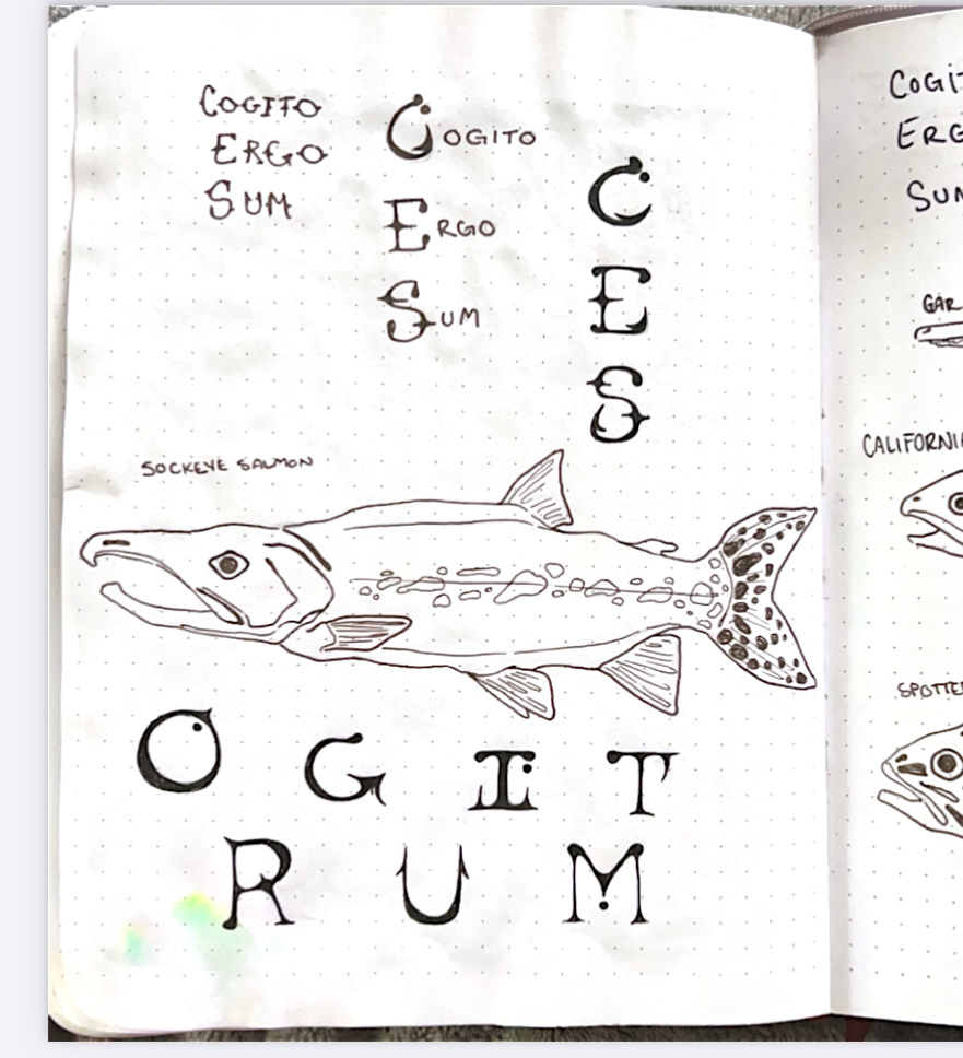 Cogito Ergo Sum sketches