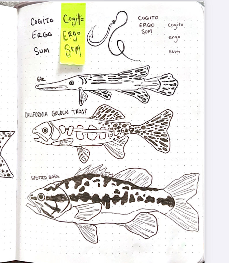 Cogito Ergo Sum sketches