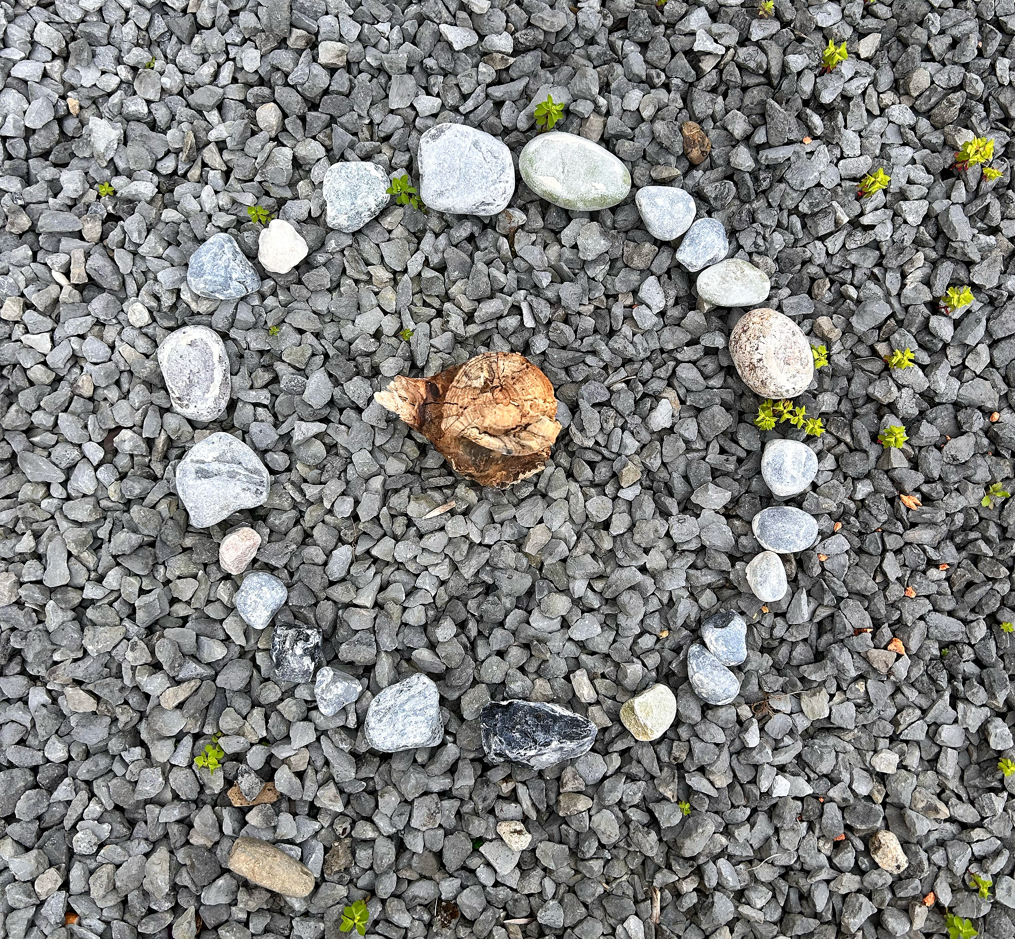 Rocks from Stupa performance piece and sculpture
