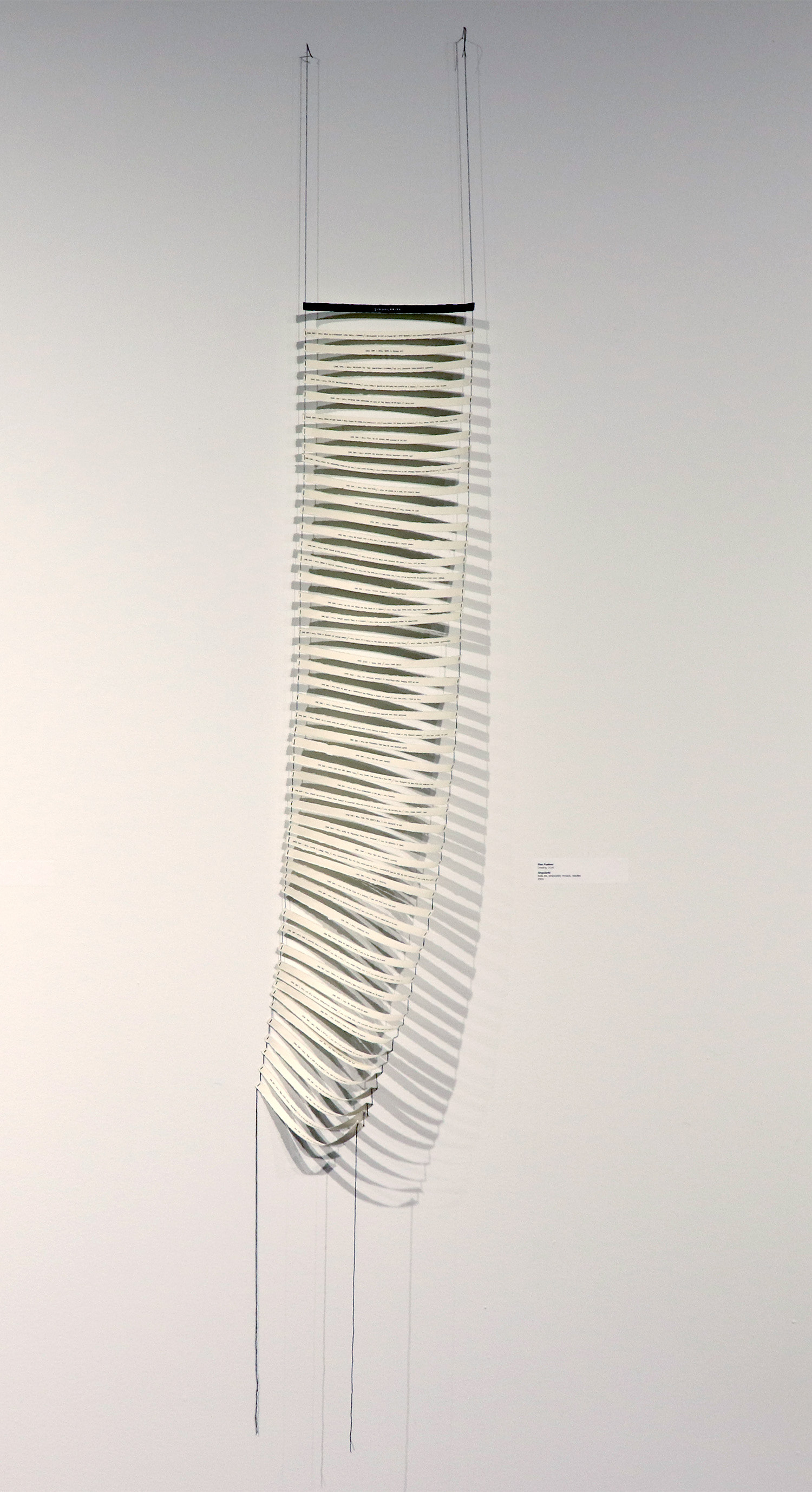 Singularity ; dip pen, embroidery thread, embroidery needles ; 77” x 15" ; 2024