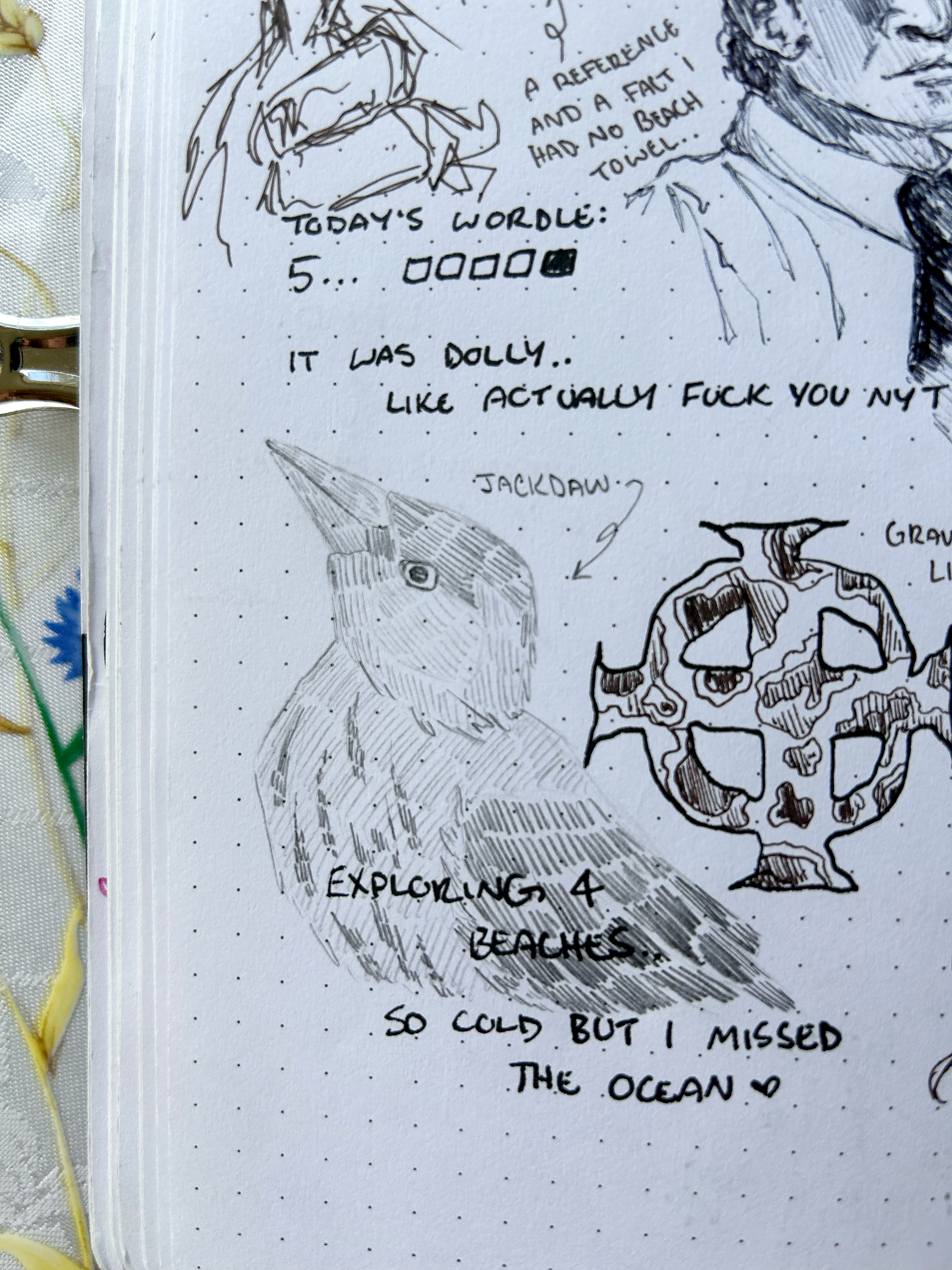 Dharma jackdaw sketch