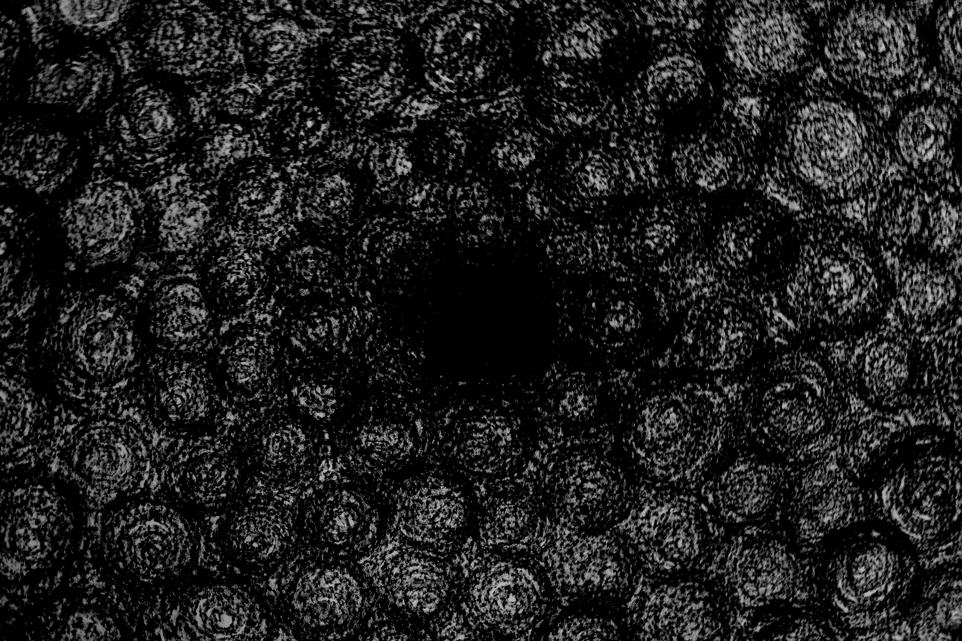 The Tower (detail) ; black chalk ; dimensions variable ; 2025