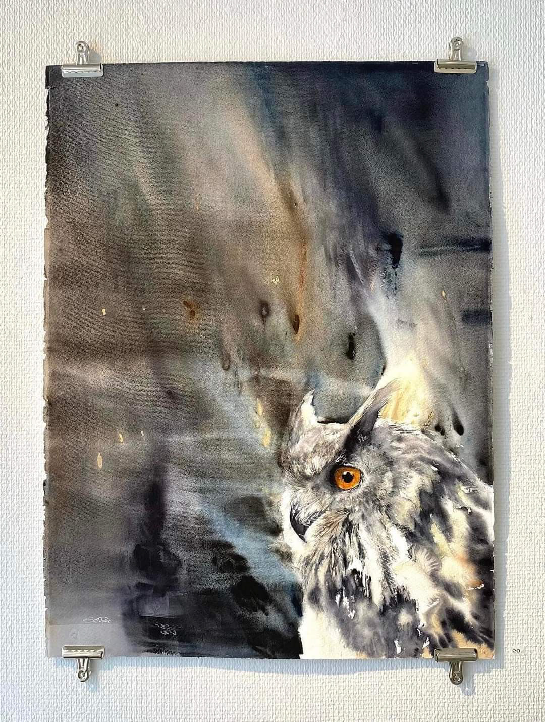 In the mind of an Owl