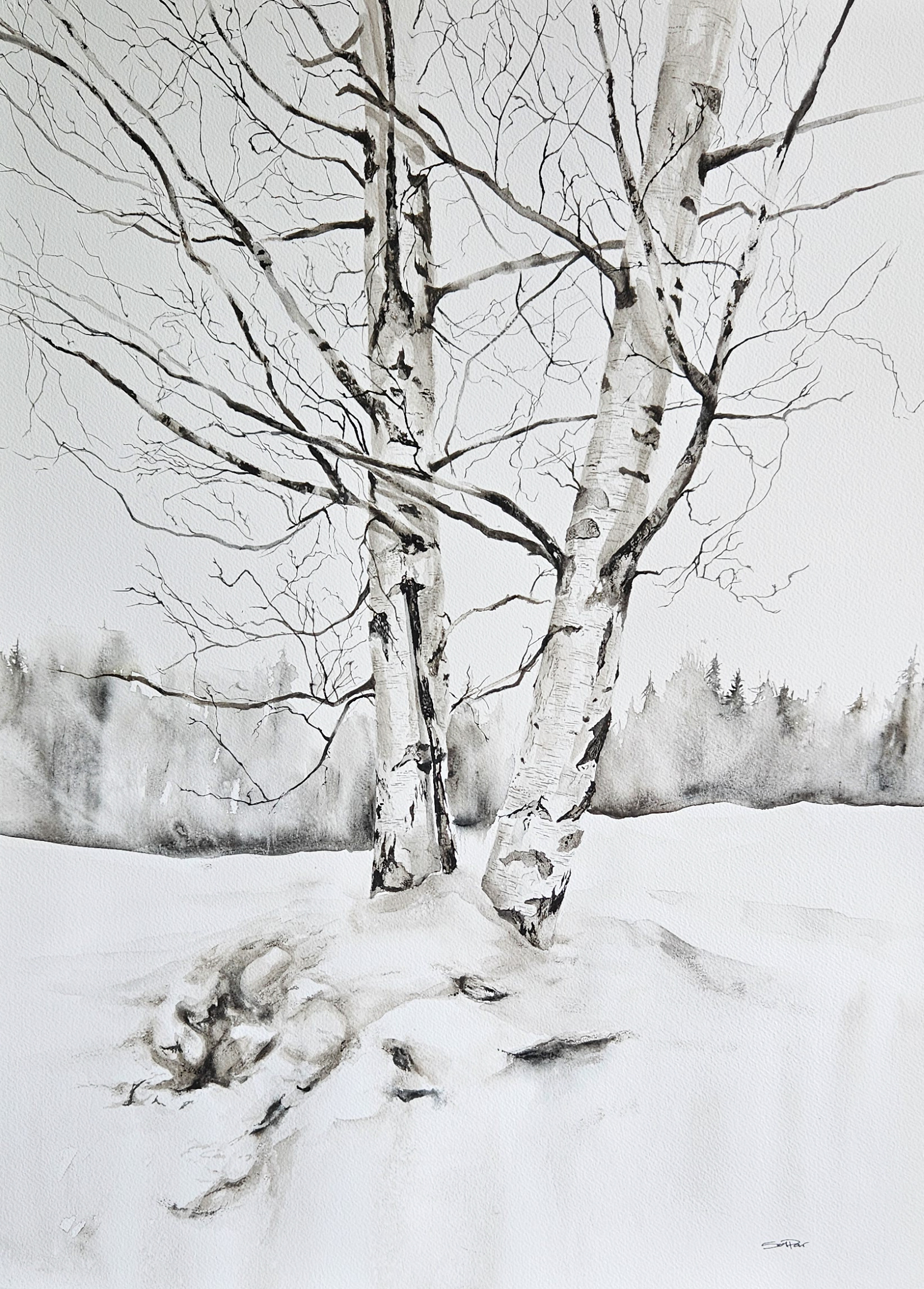 Träd vid gamla fotbollsplanen