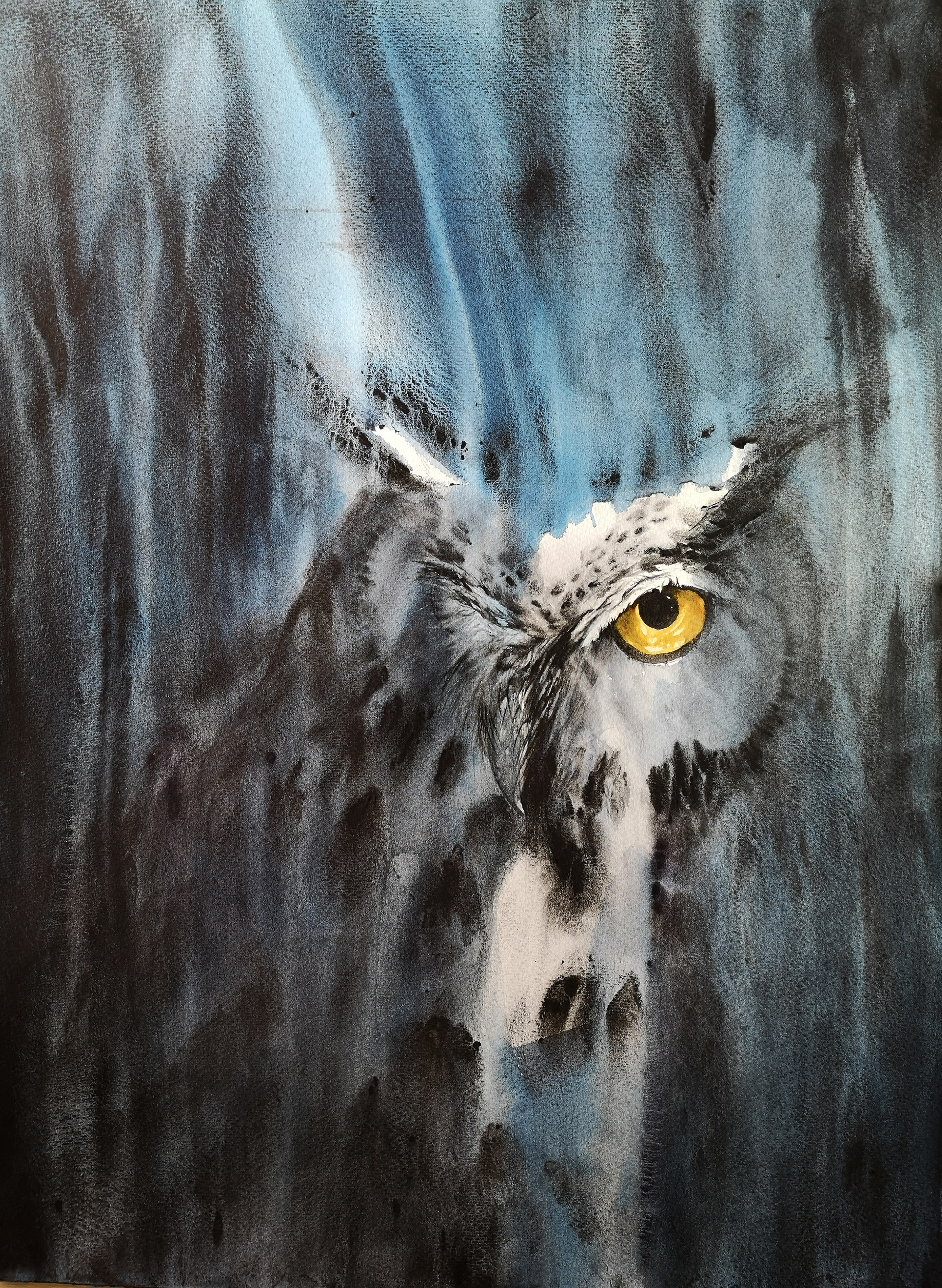Owl with two faces