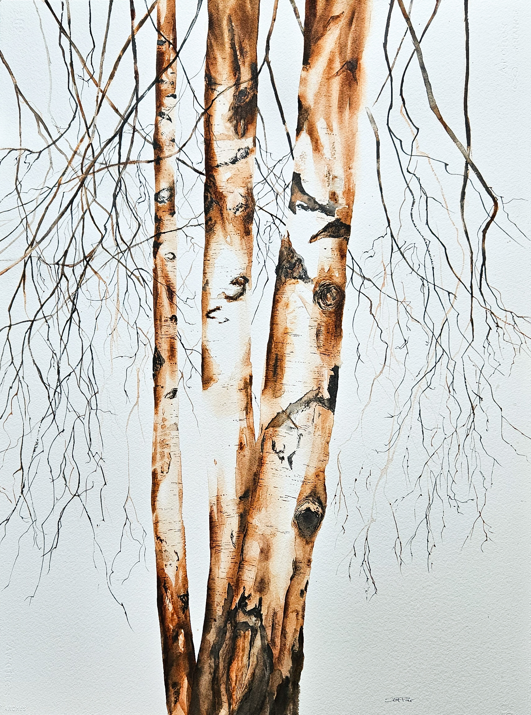 Trär i burnt sienna